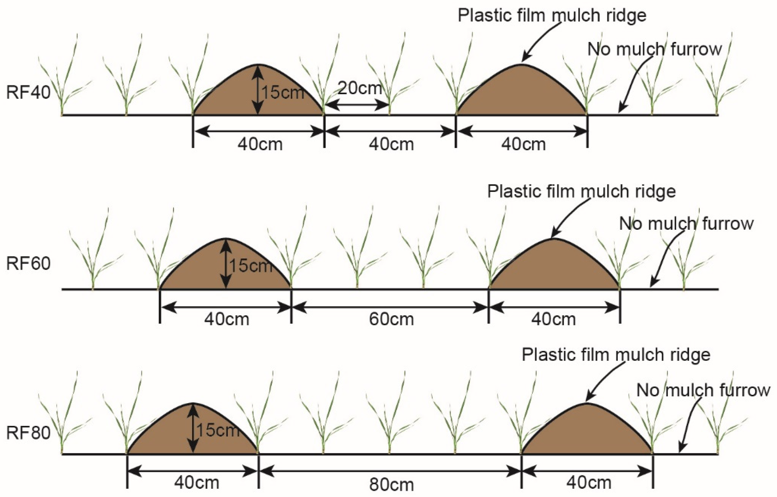 Agronomy 12 01815 g002