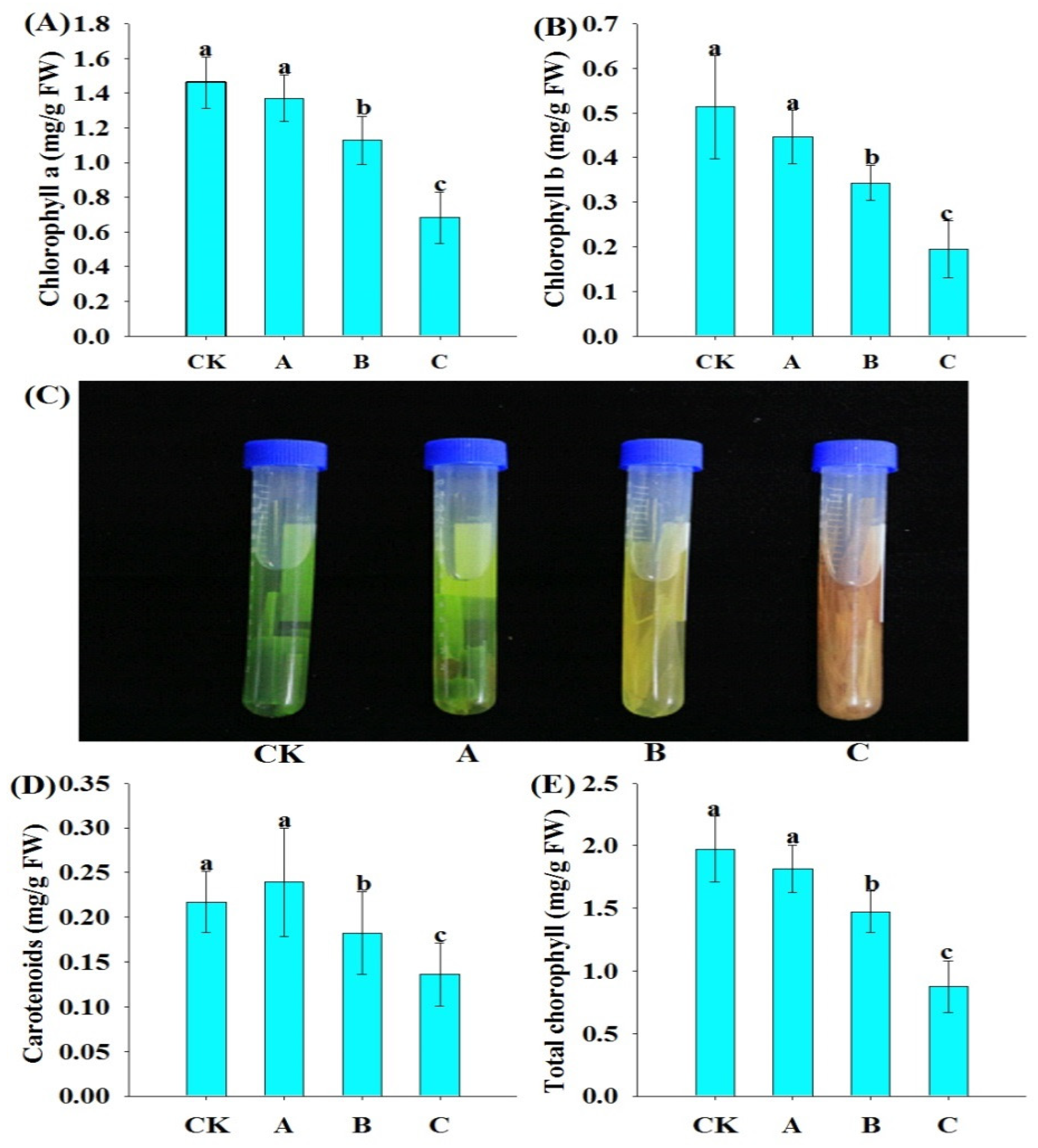 Agronomy 12 01820 g002