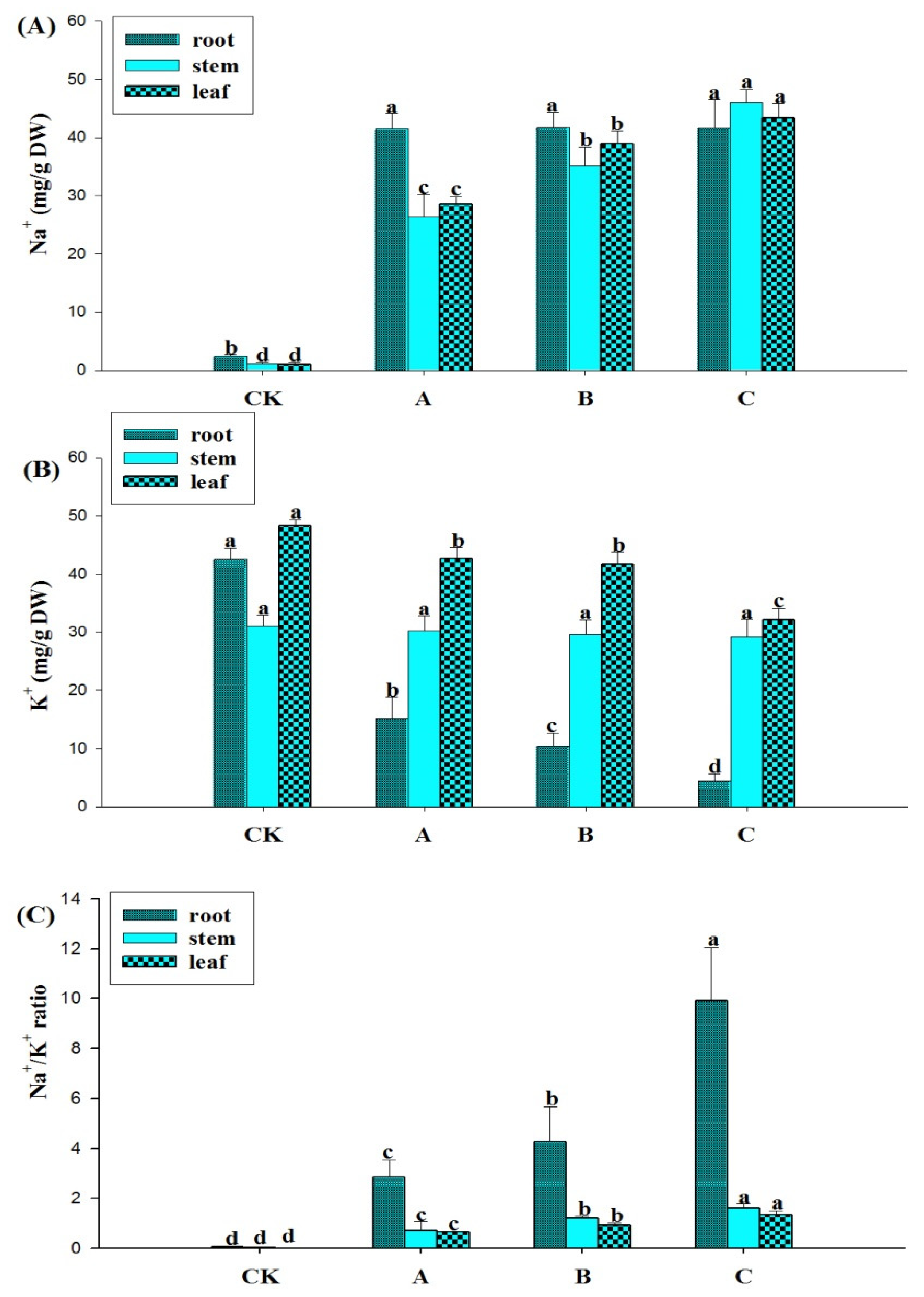 Agronomy 12 01820 g004
