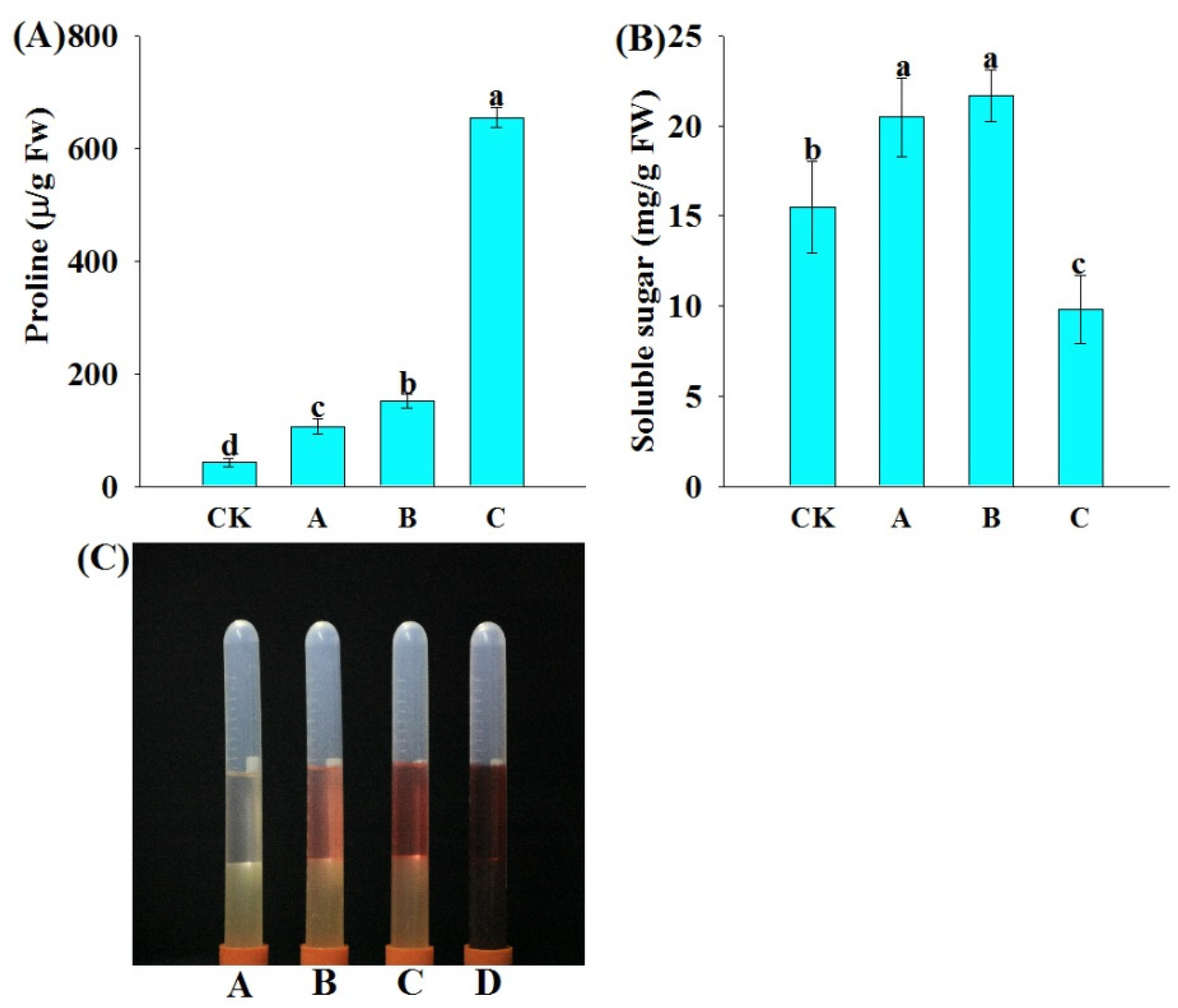 Agronomy 12 01820 g005