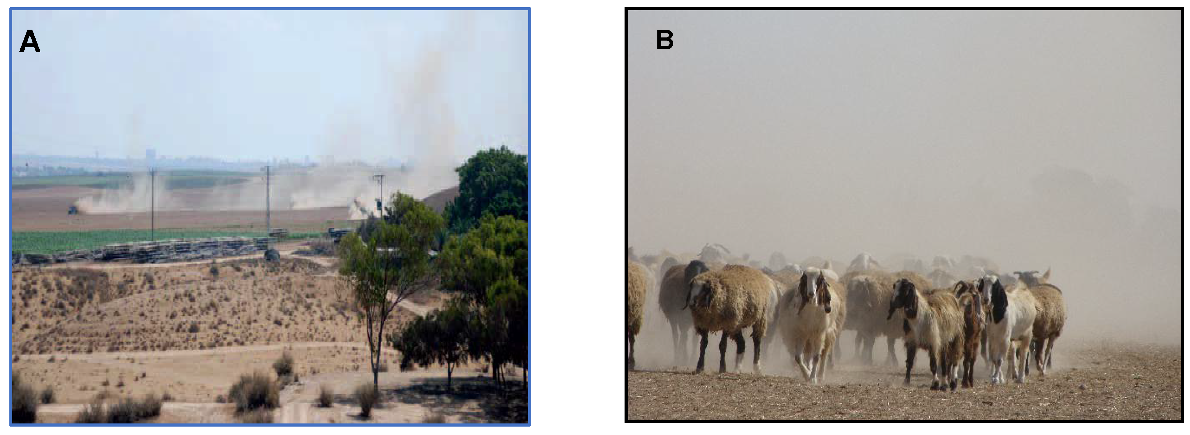 Agronomy 12 01826 g001