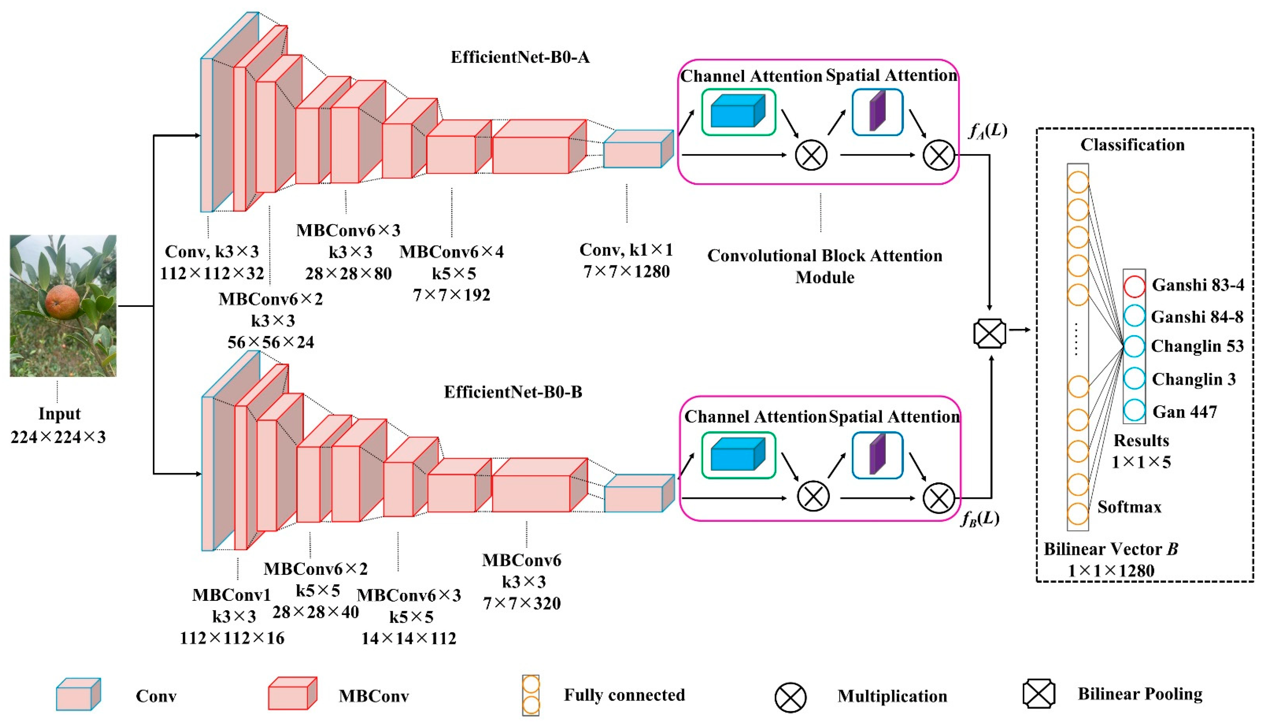 Agronomy 12 01846 g002