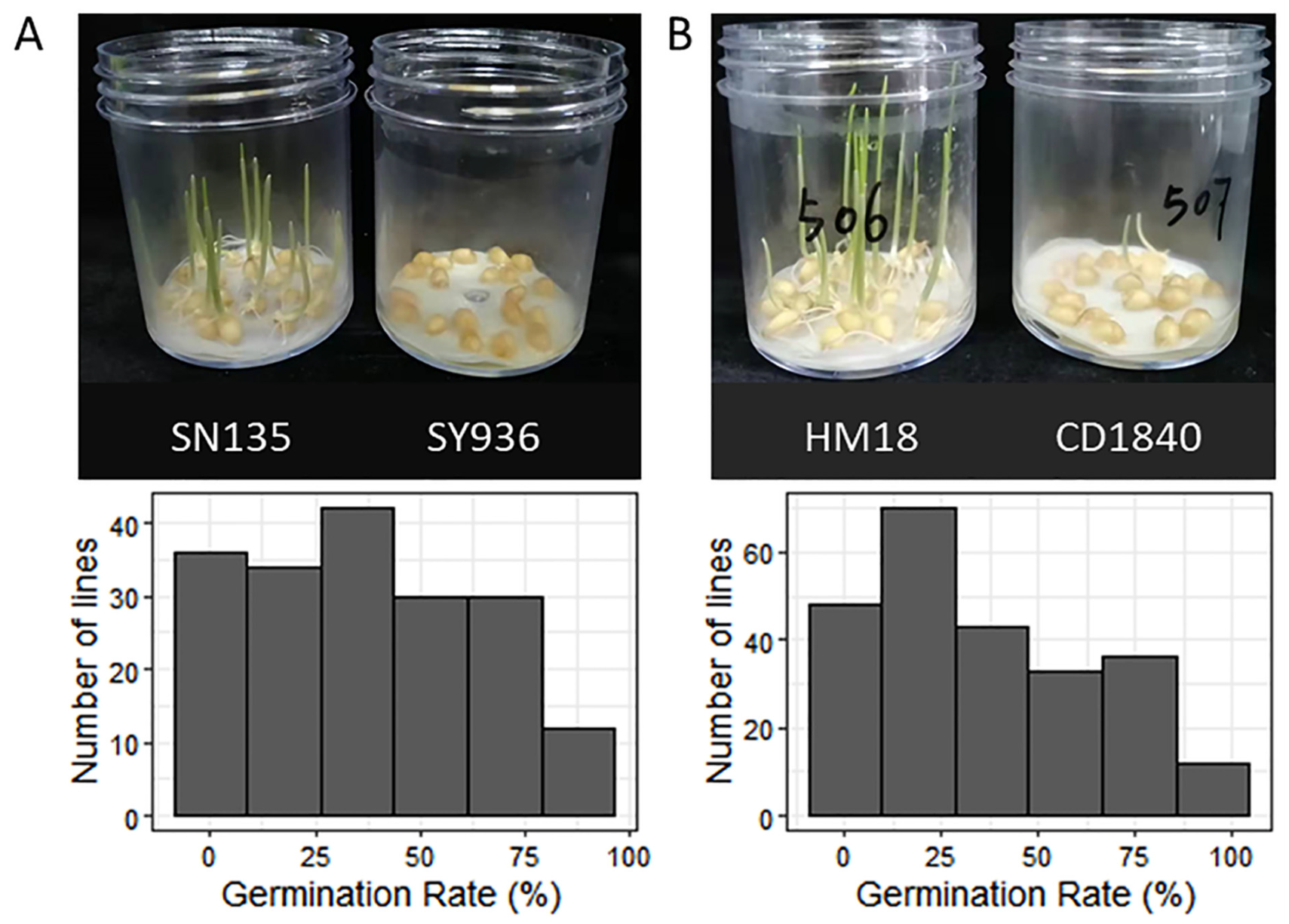 Agronomy 12 01848 g002