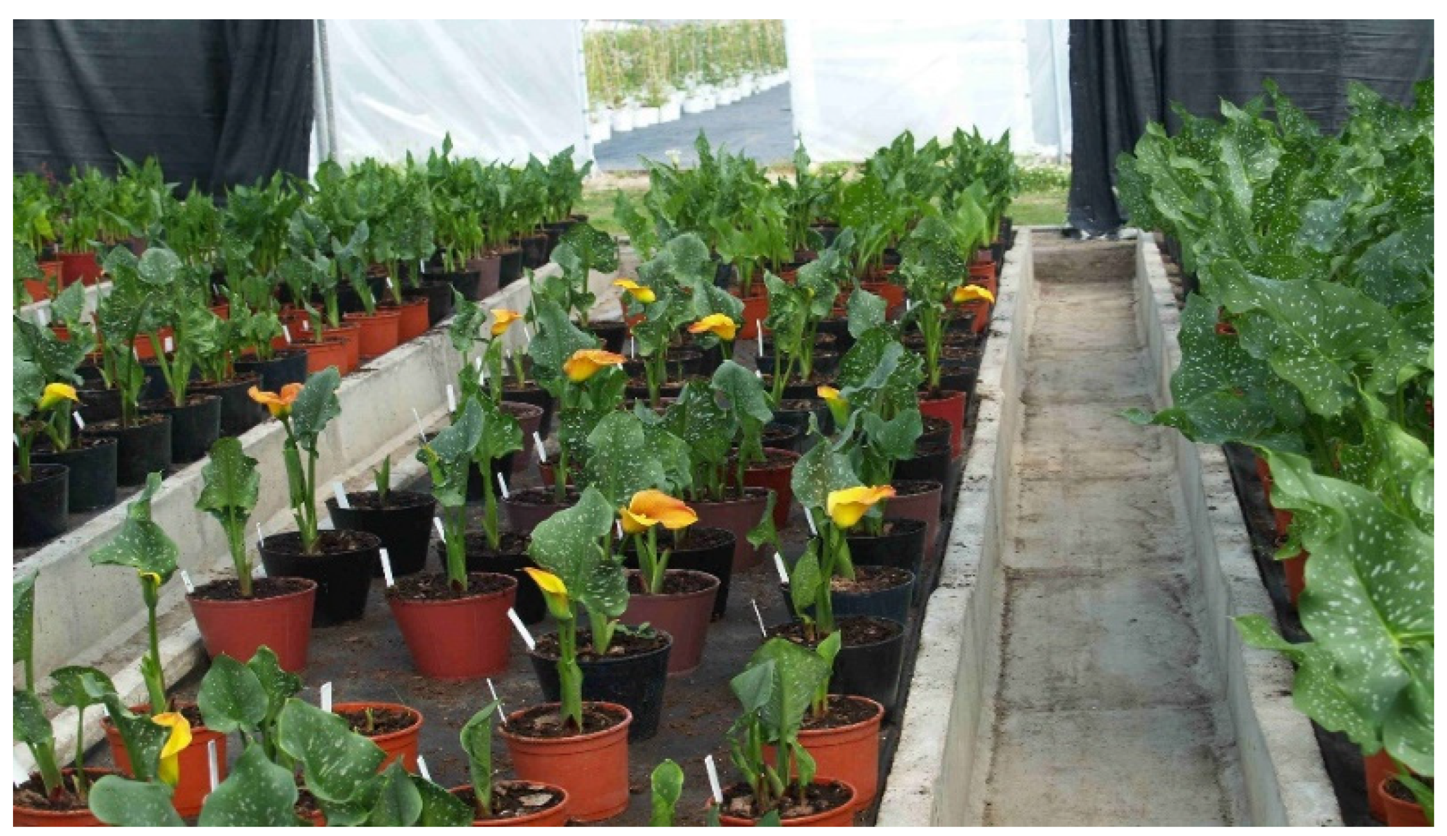 Agronomy 12 01859 g002