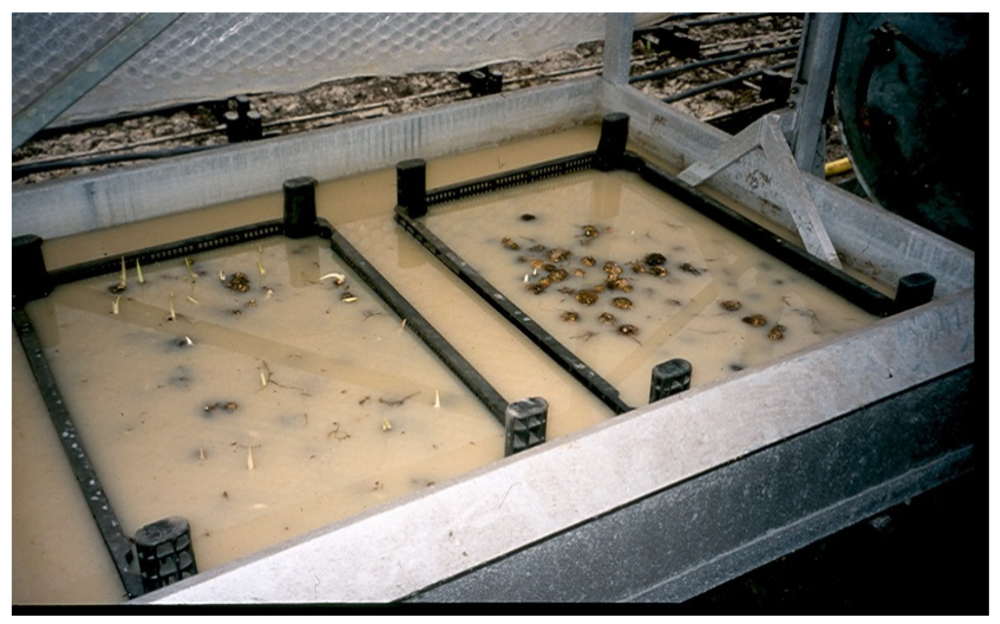 Agronomy 12 01859 g004