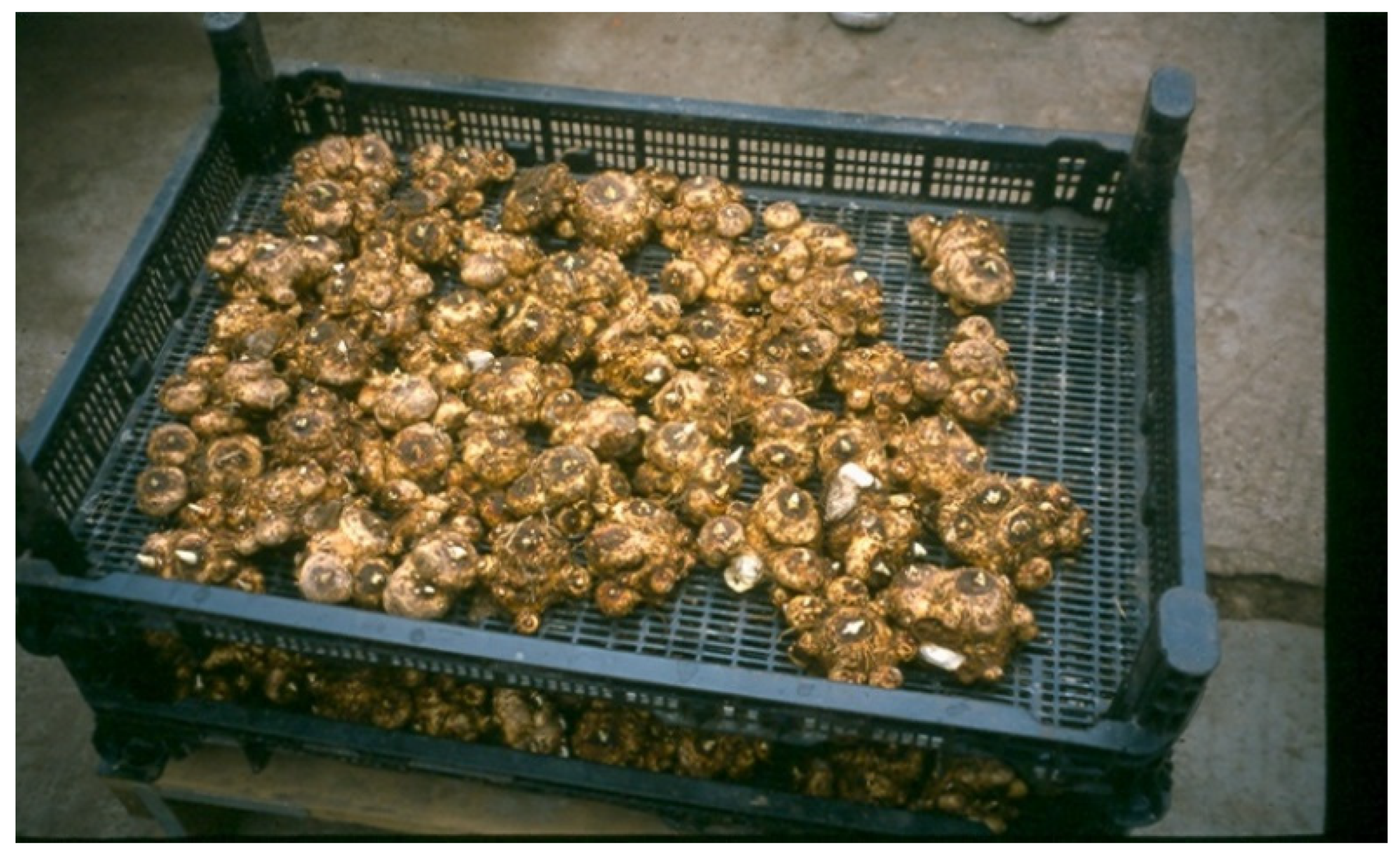 Agronomy 12 01859 g006