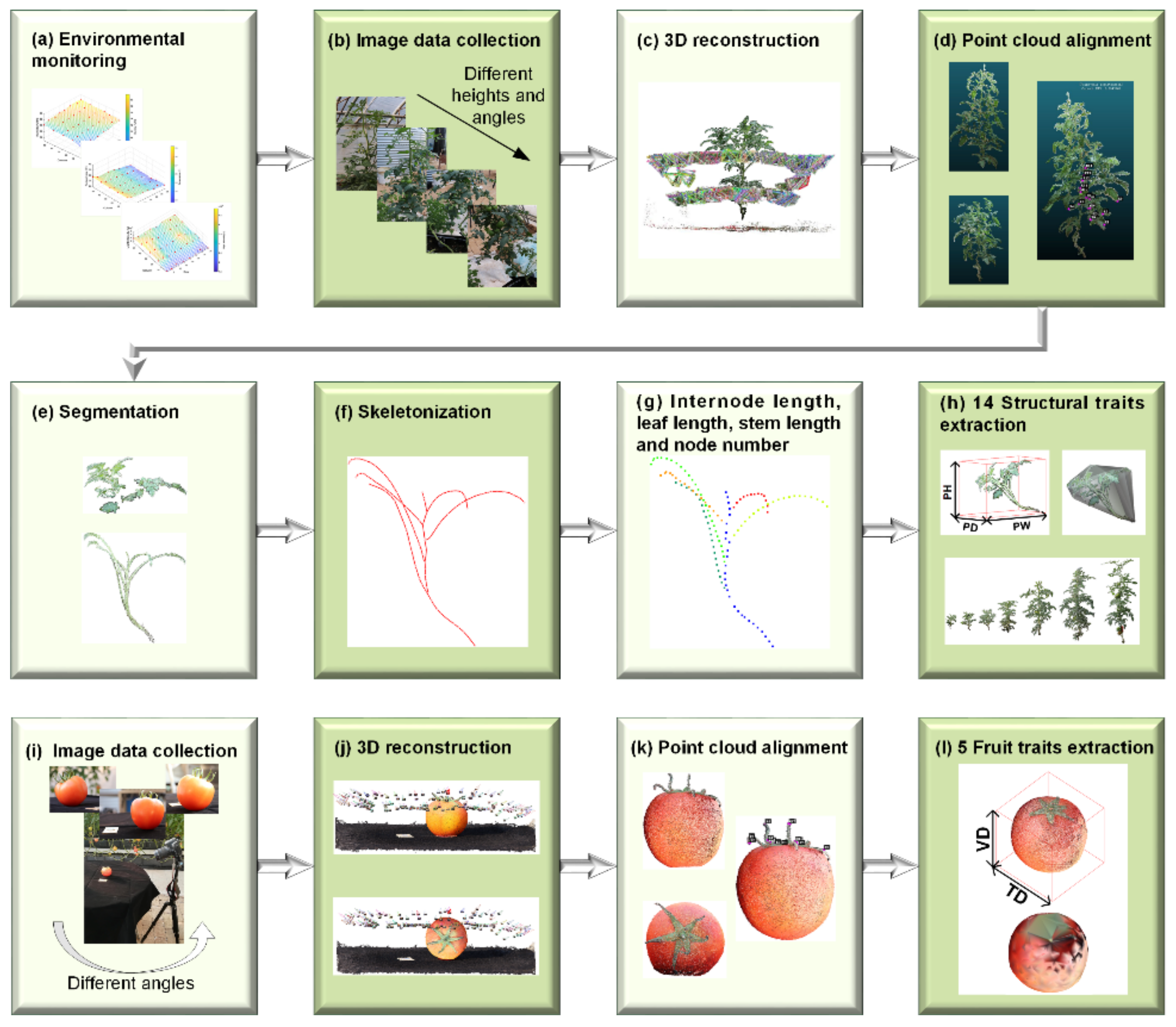 Agronomy 12 01865 g001