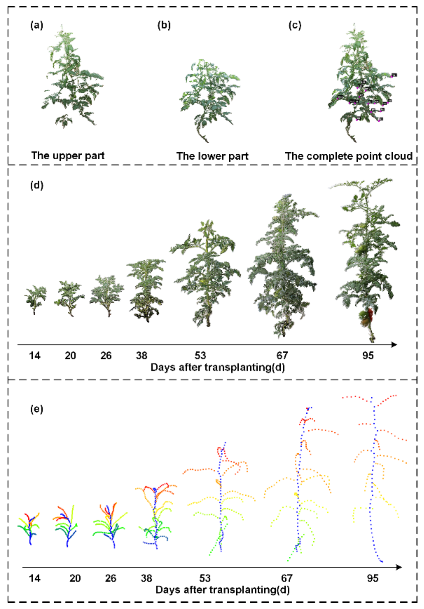 Agronomy 12 01865 g003