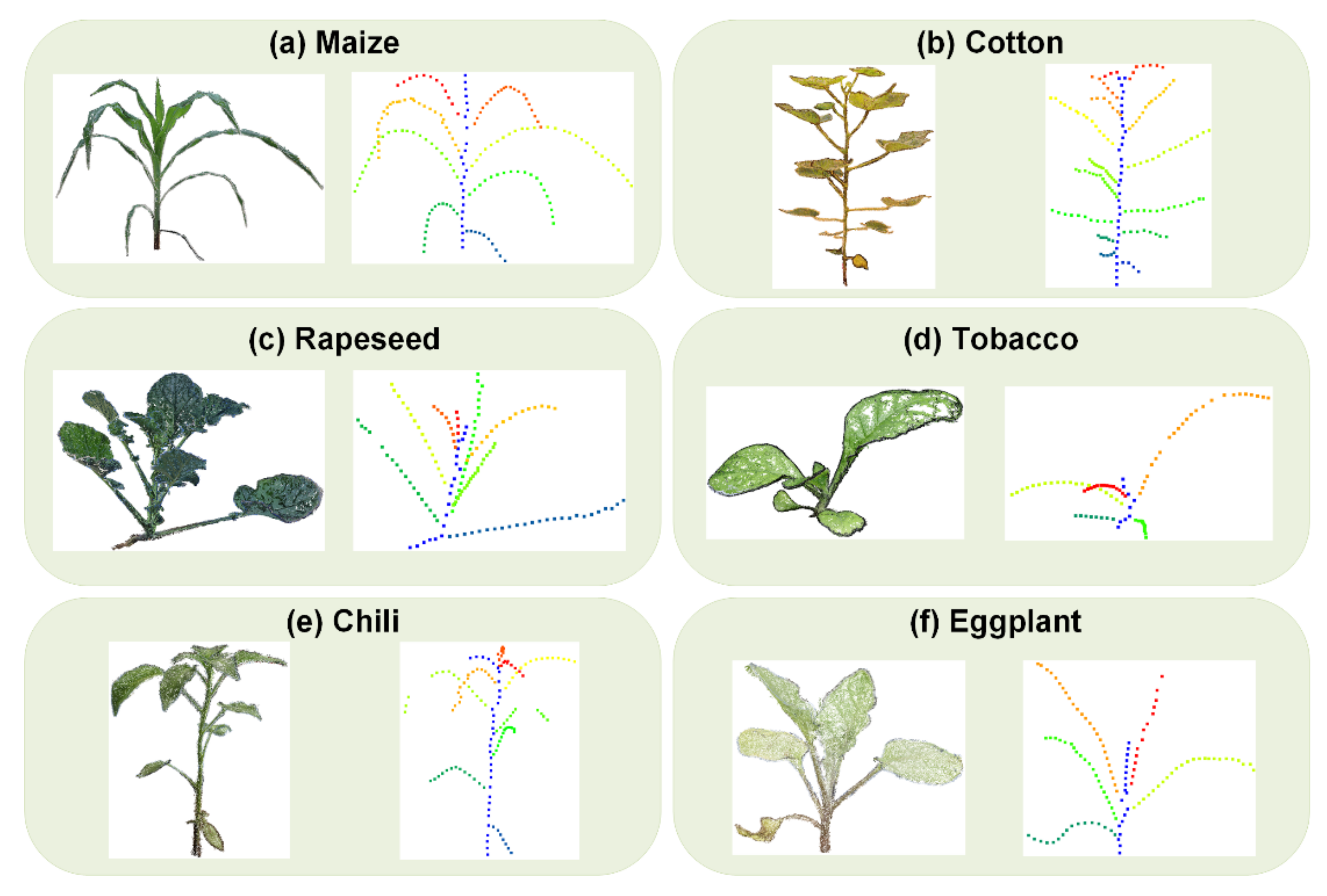 Agronomy 12 01865 g006