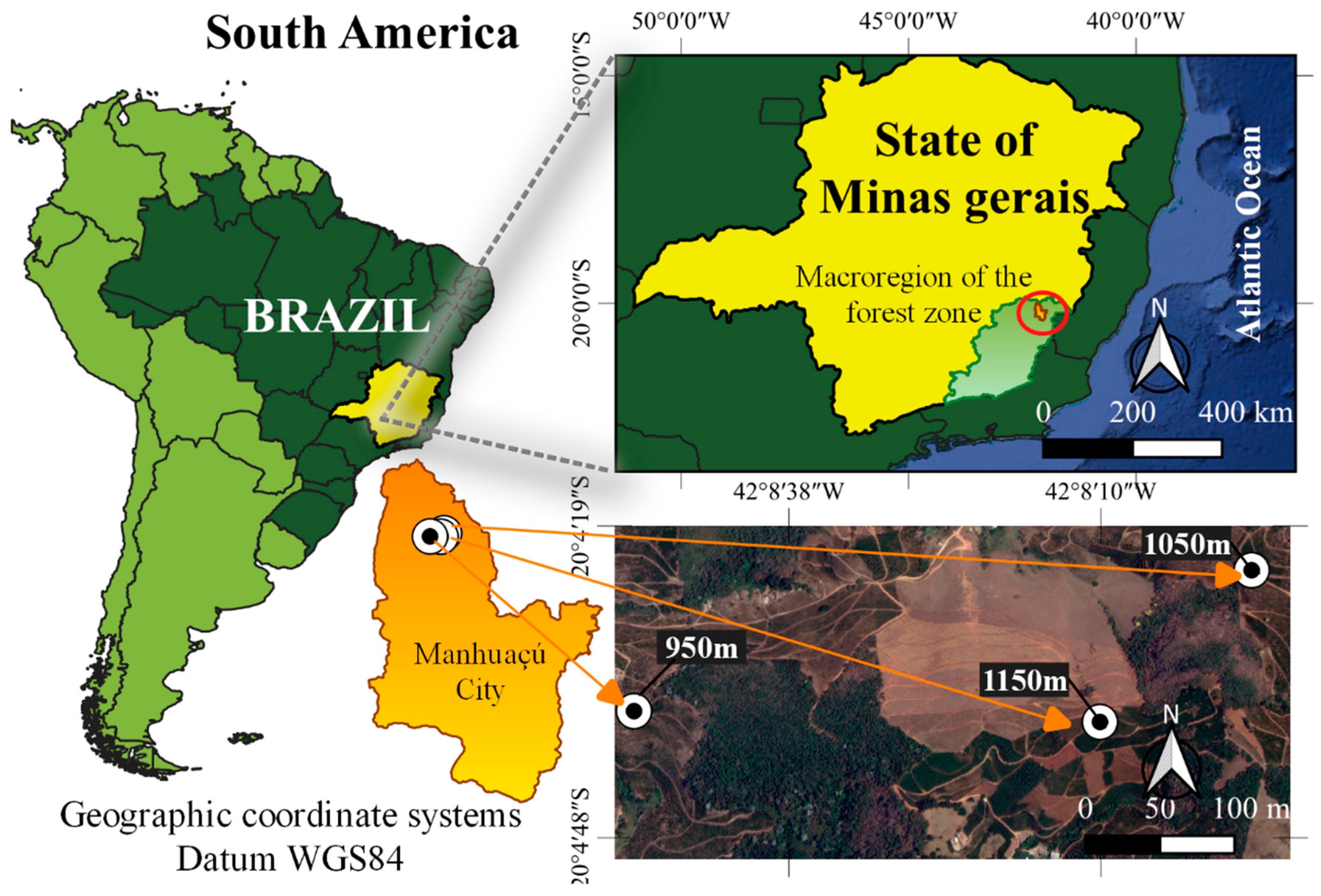 Agronomy 12 01885 g001