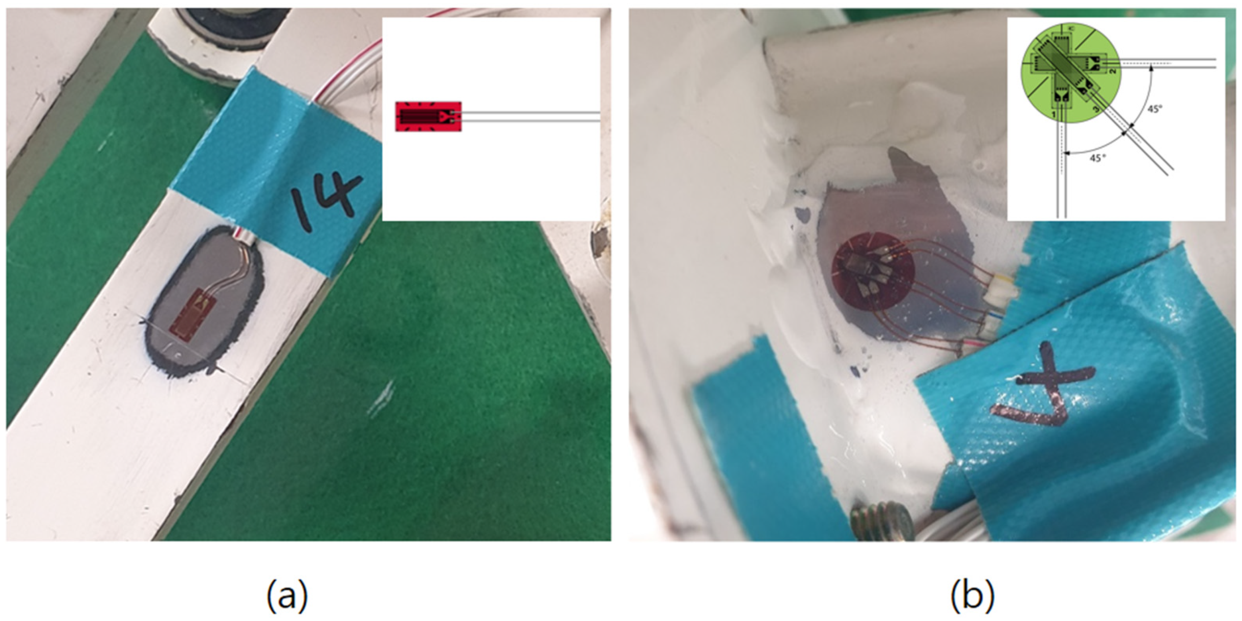 Agronomy 12 01890 g004