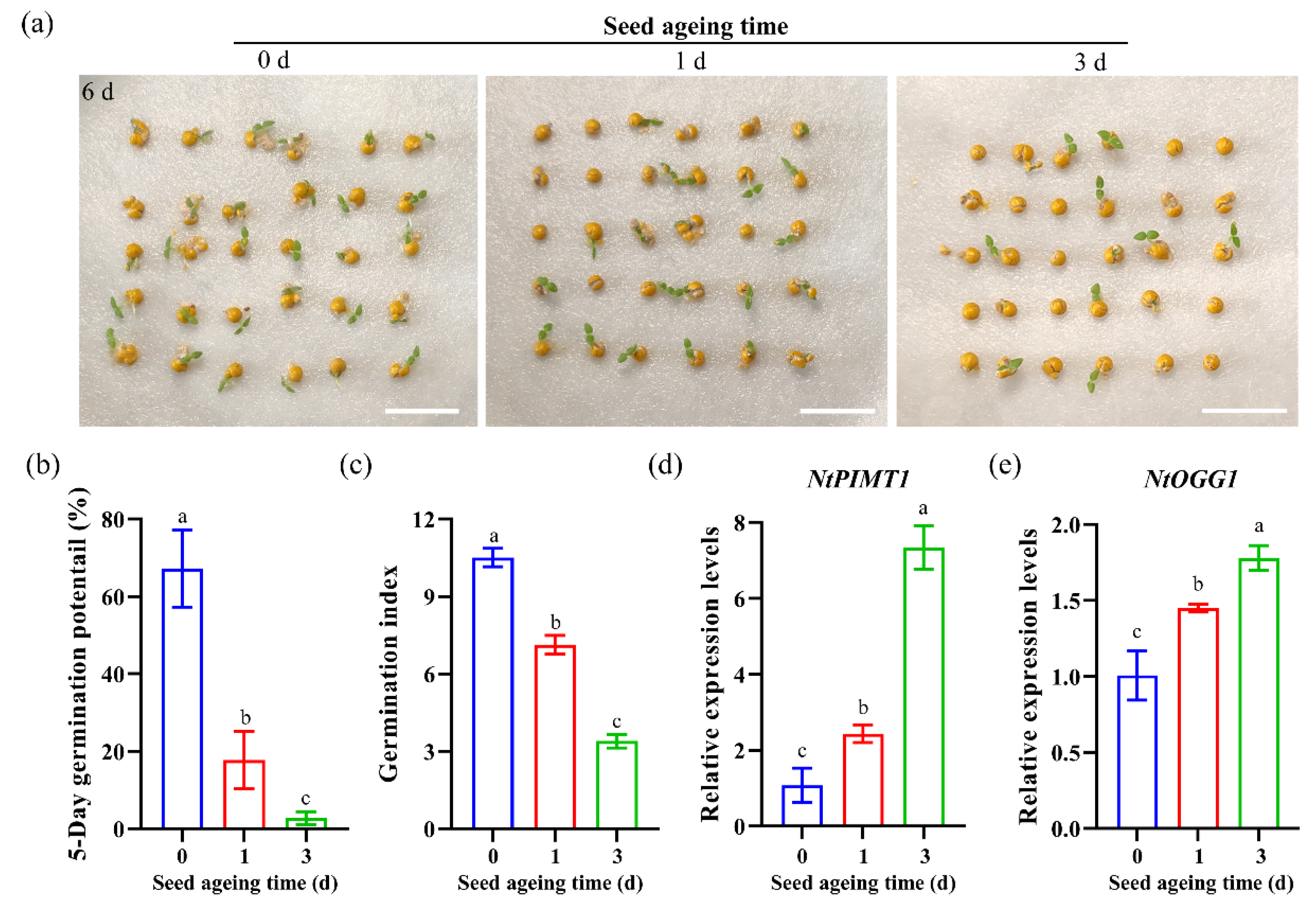 Agronomy 12 01897 g004