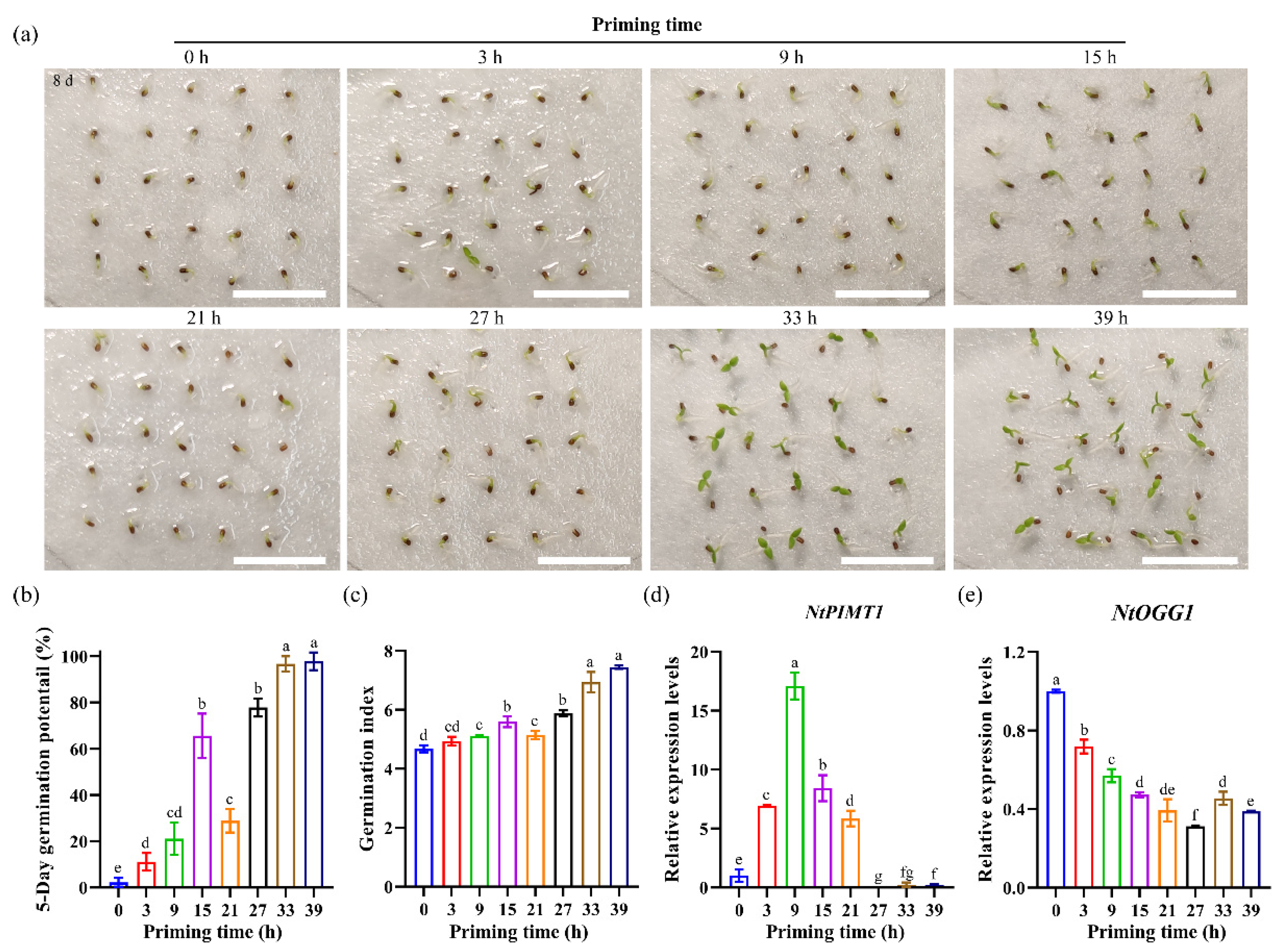 Agronomy 12 01897 g005