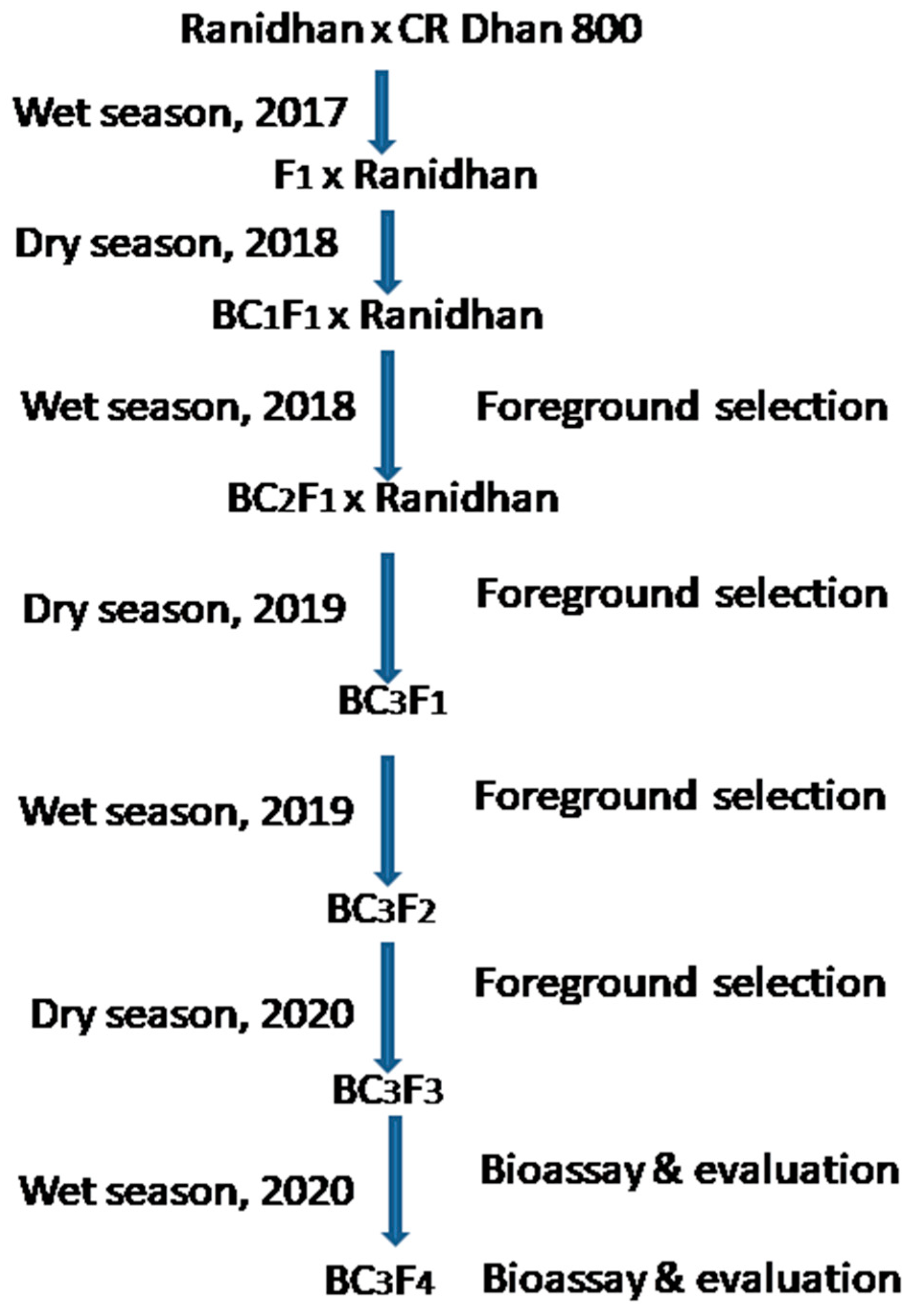 Agronomy 12 01903 g001