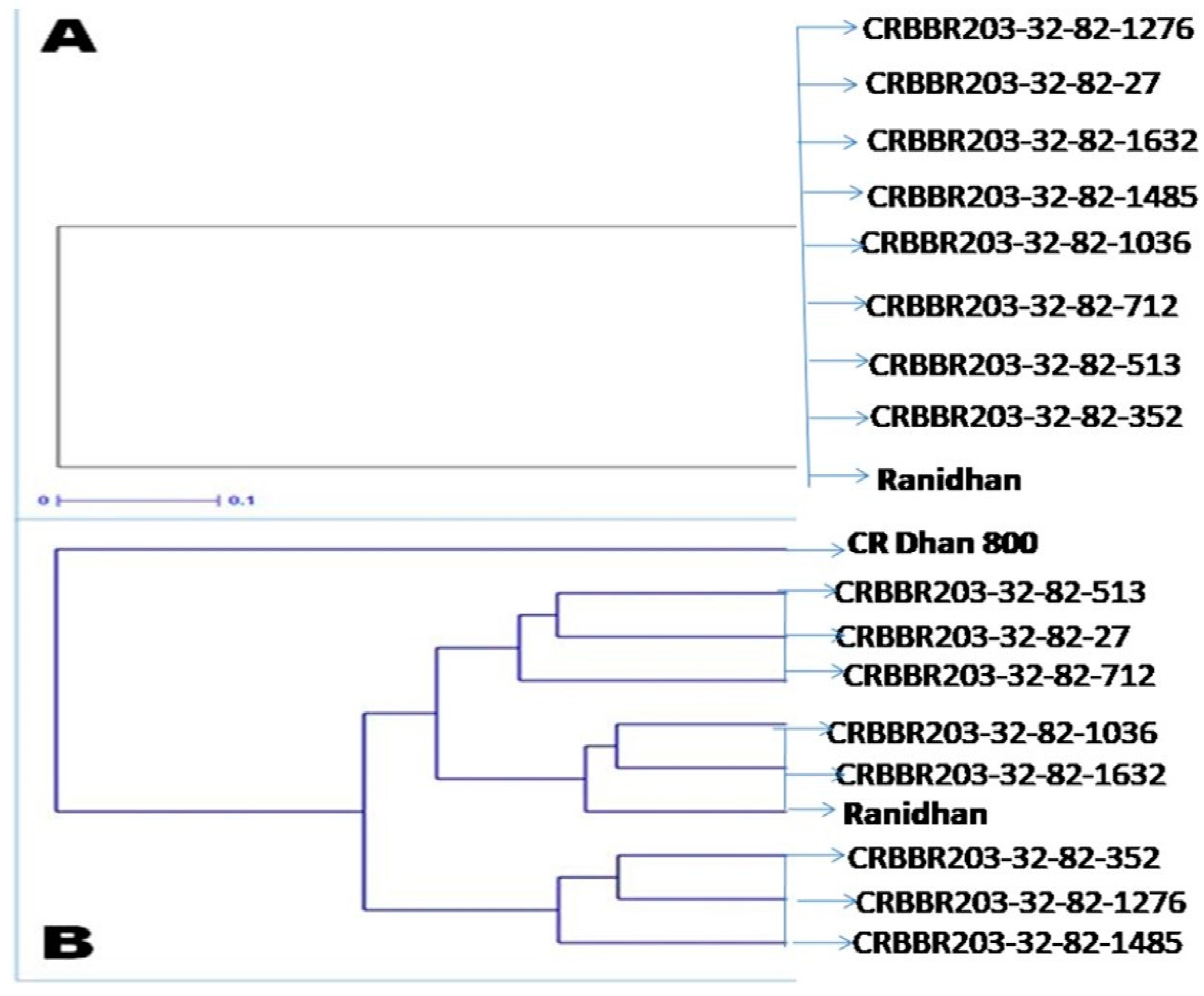 Agronomy 12 01903 g006