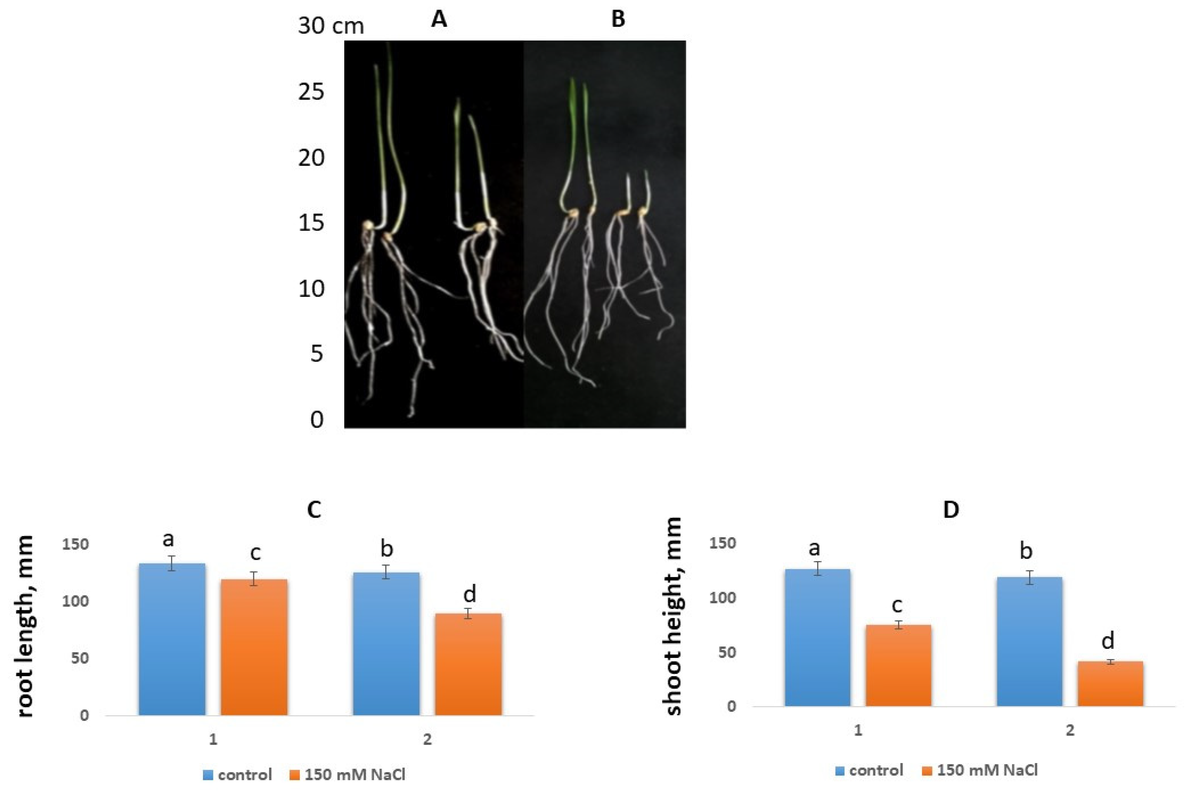 Agronomy 12 01909 g001