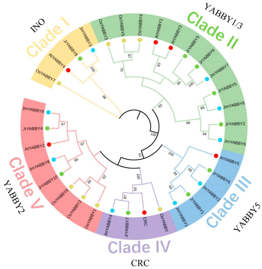 Agronomy 12 01914 g001