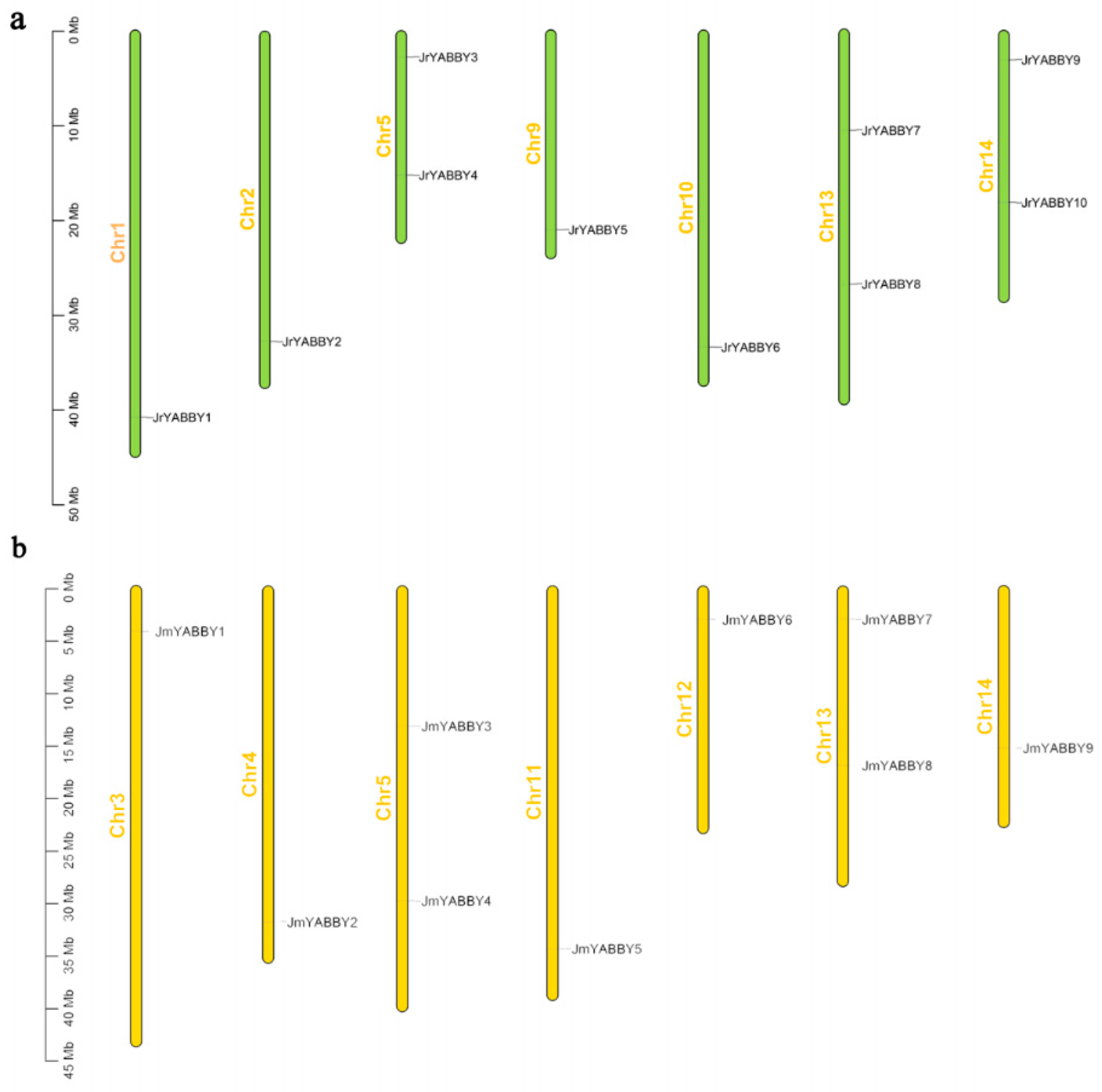 Agronomy 12 01914 g003