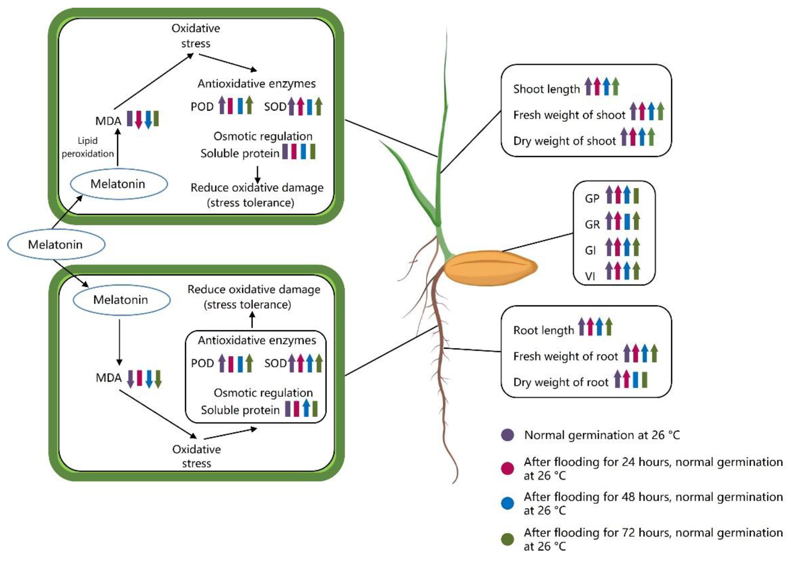 Agronomy 12 01918 g010