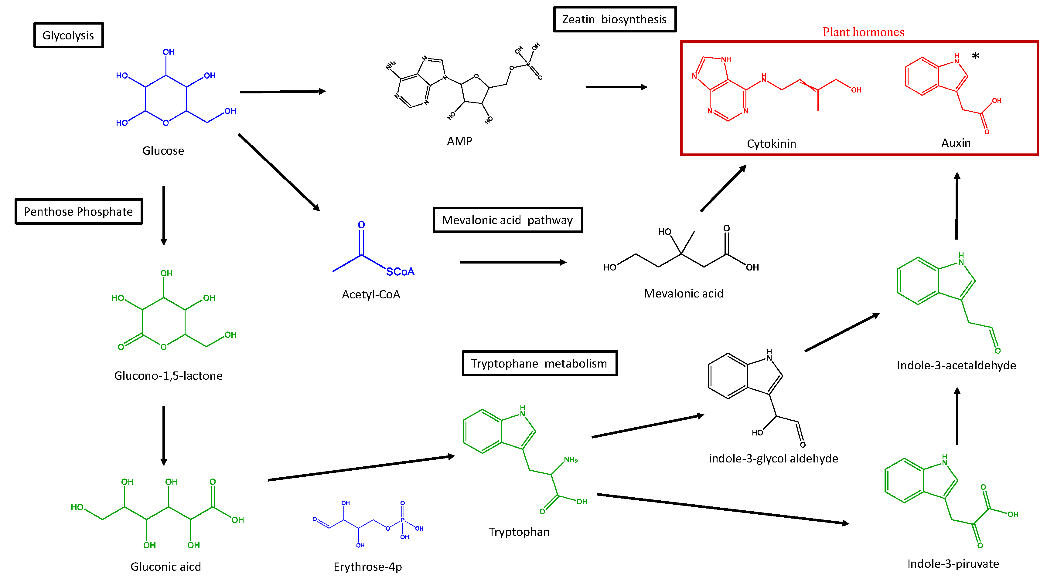 Agronomy 12 01926 g002