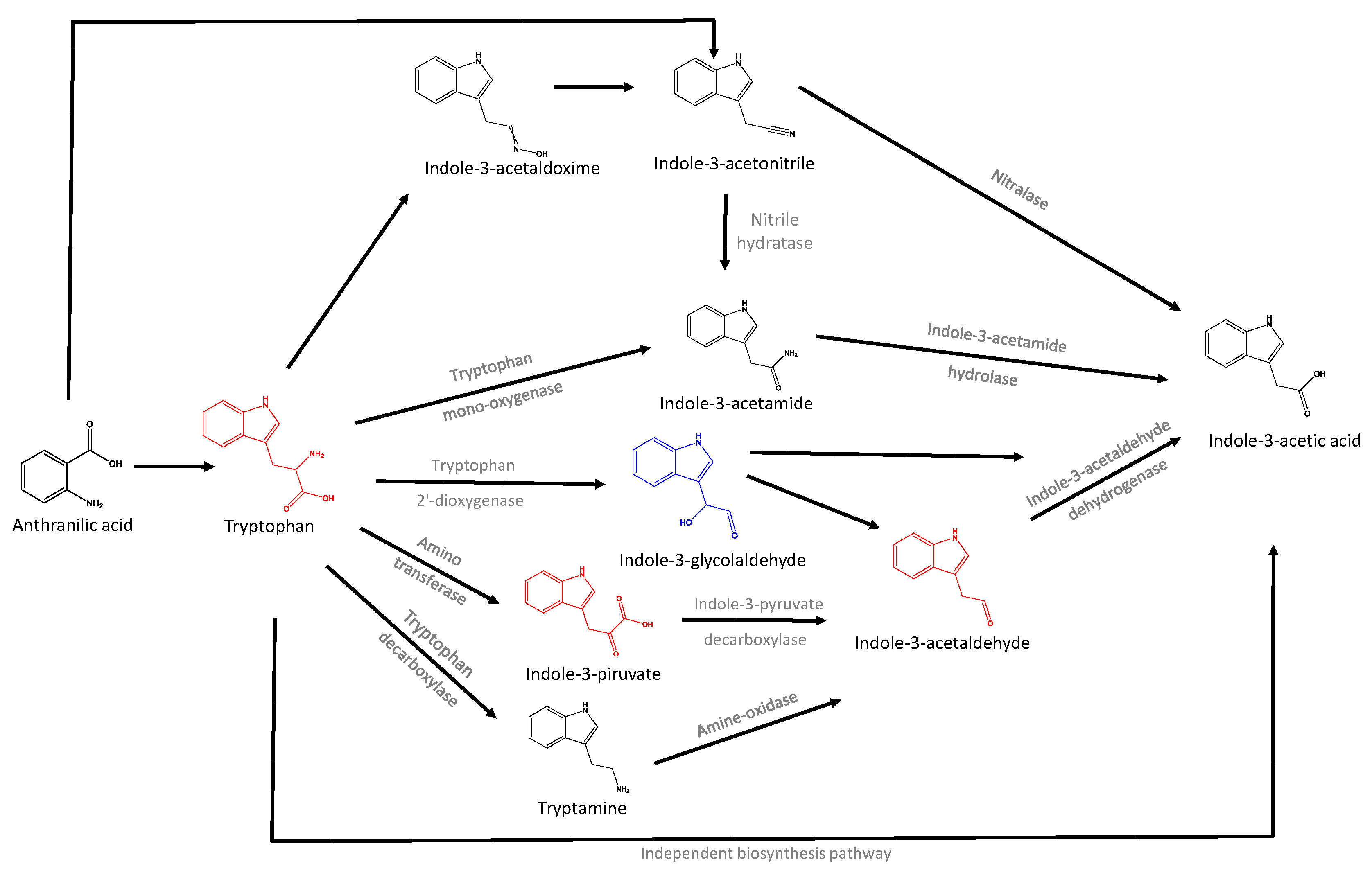 Agronomy 12 01926 g003
