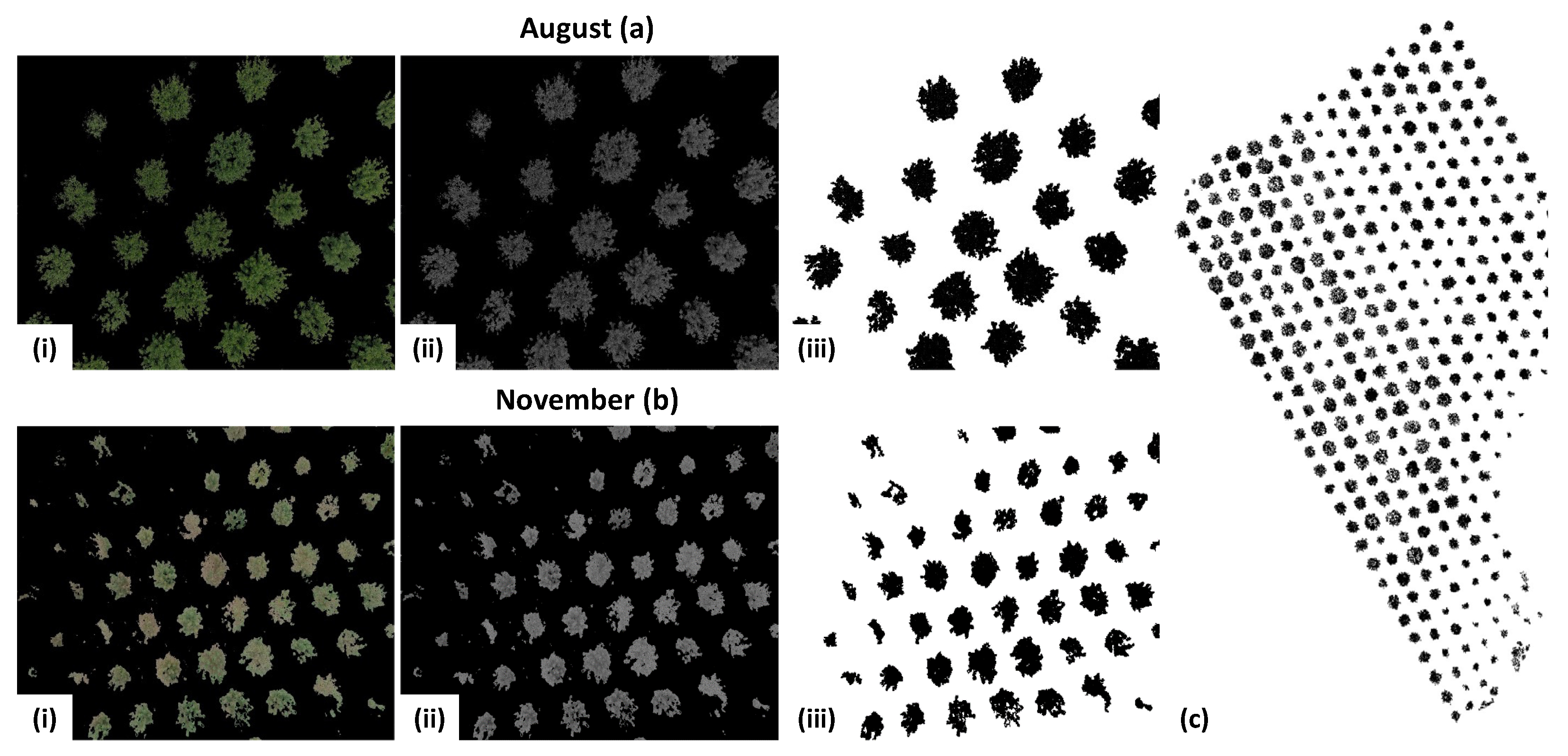 Agronomy 12 01937 g005