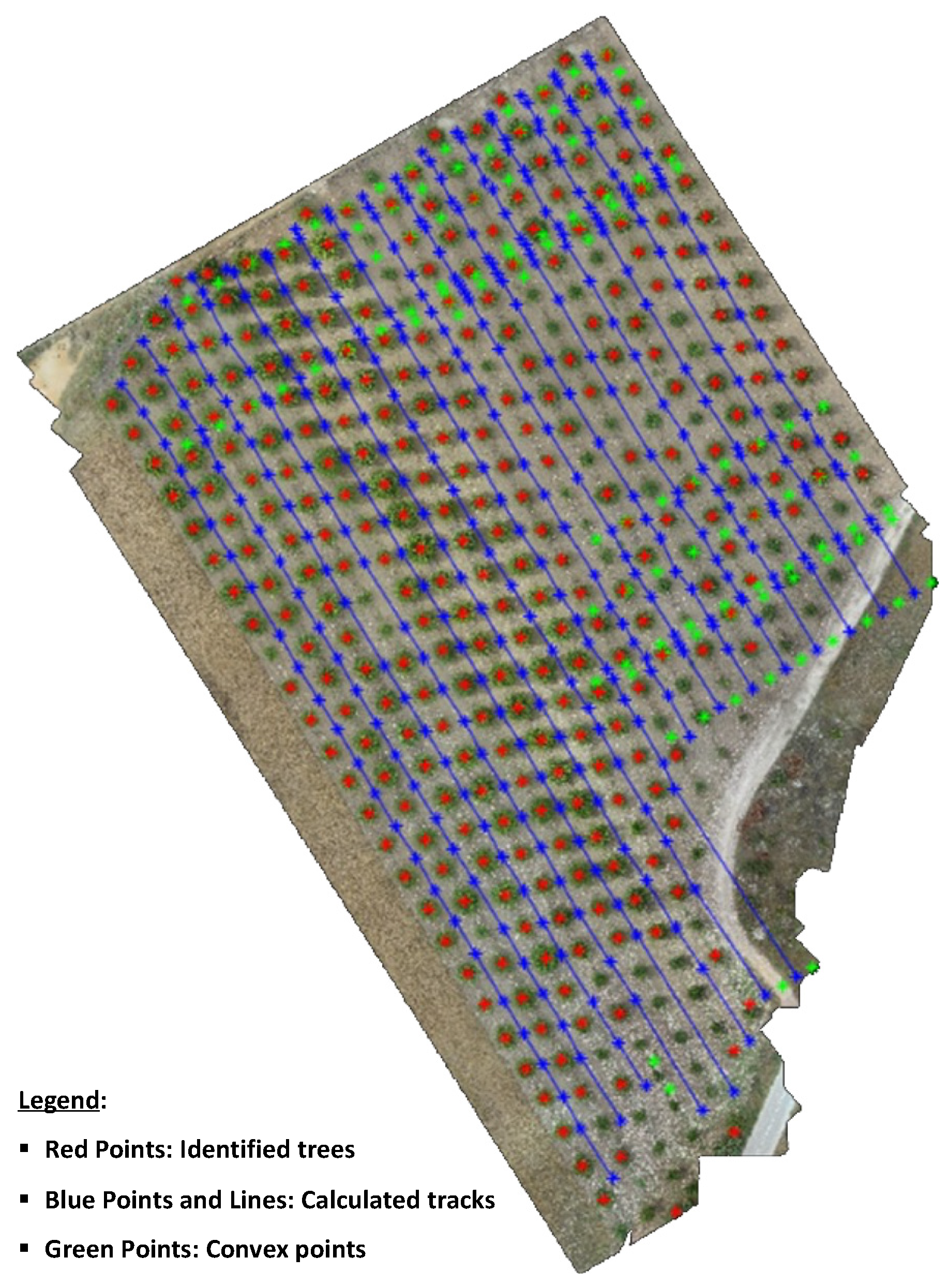 Agronomy 12 01937 g008