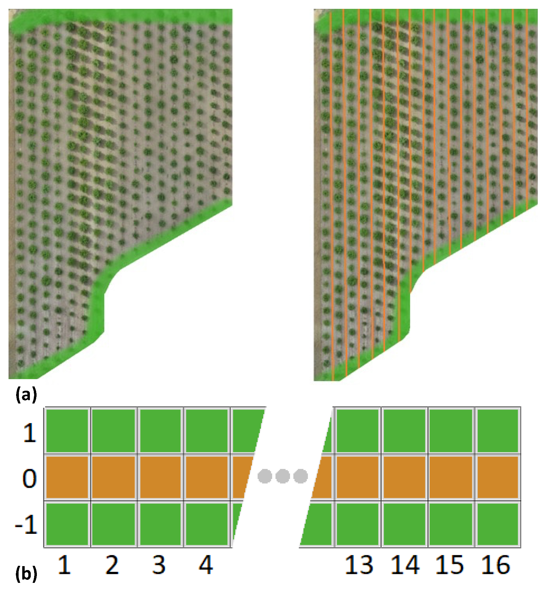 Agronomy 12 01937 g009