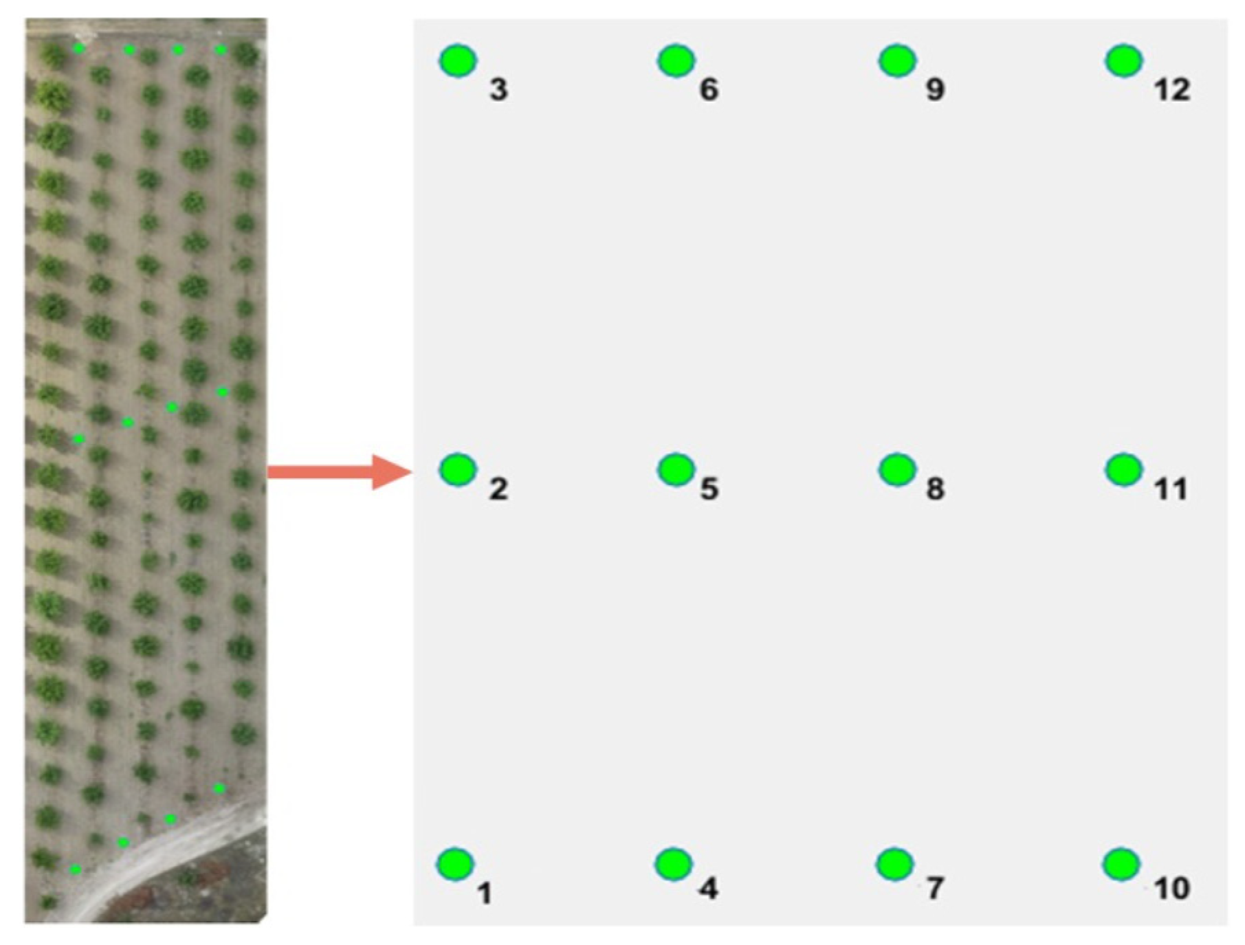 Agronomy 12 01937 g010