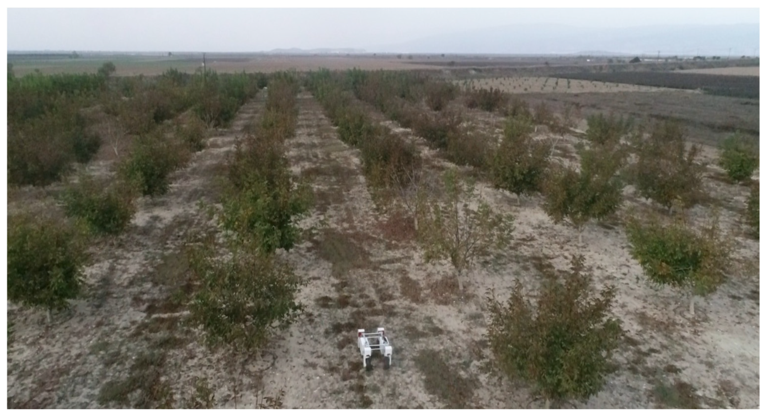 Agronomy 12 01937 g013