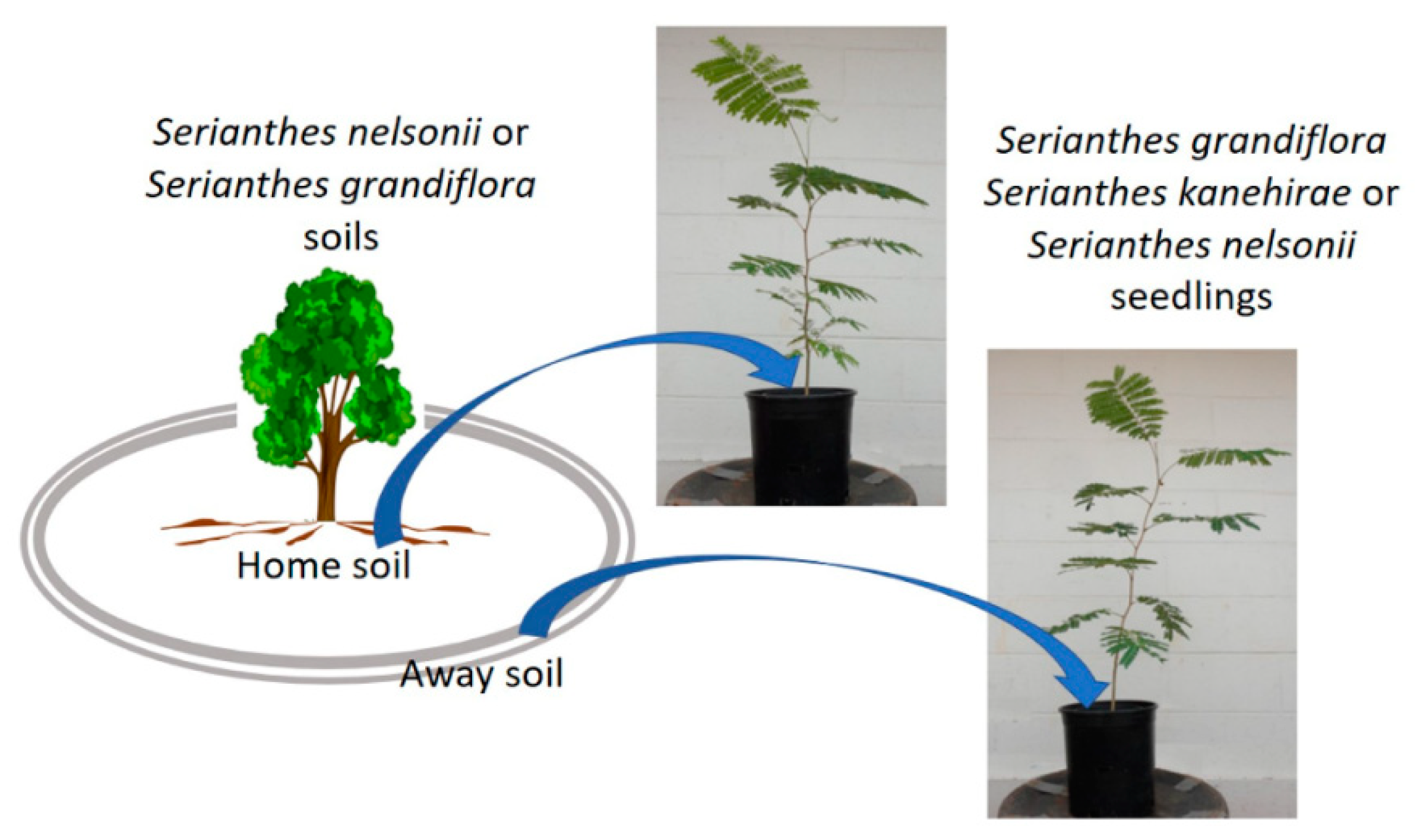 Agronomy 12 01938 g002