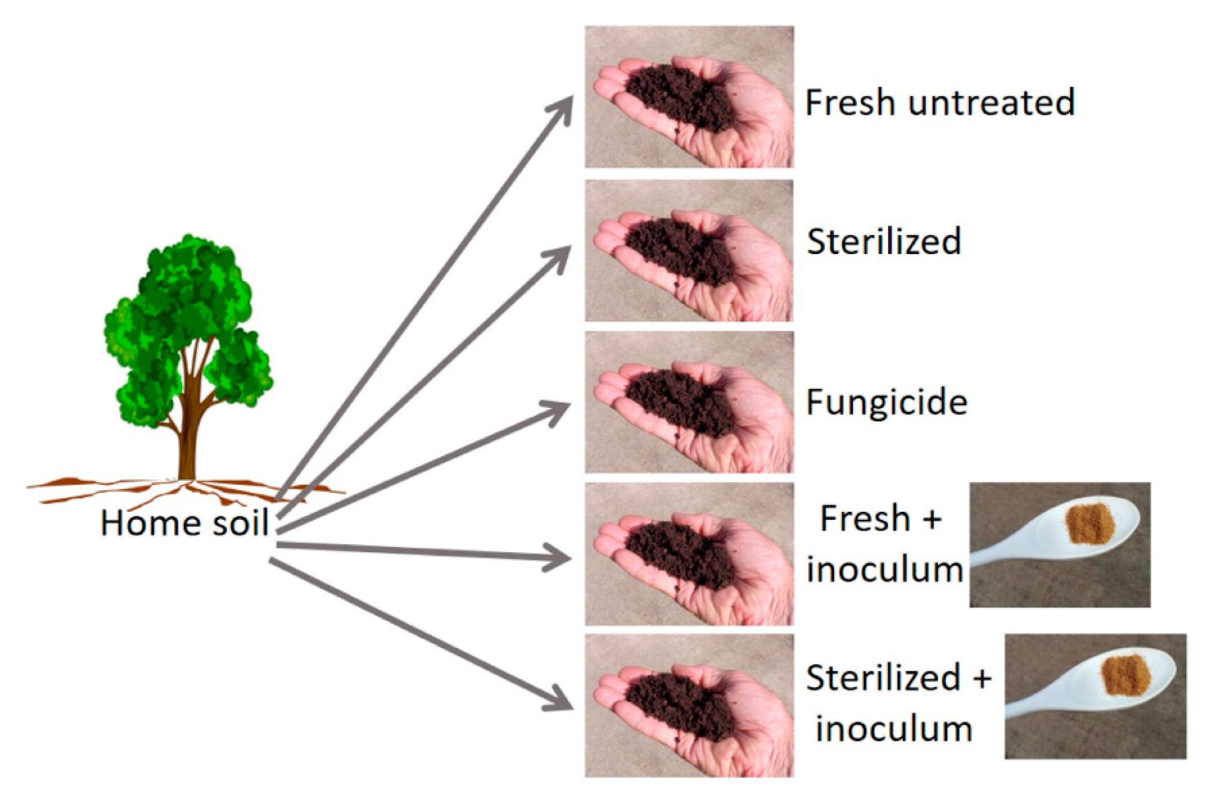 Agronomy 12 01938 g003
