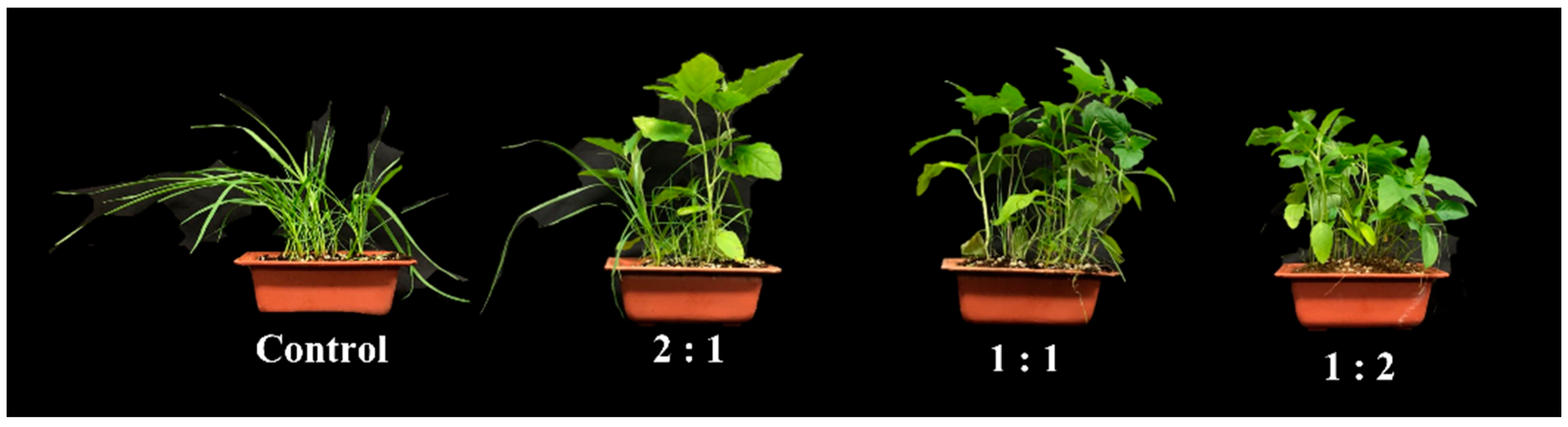 Agronomy 12 01954 g002