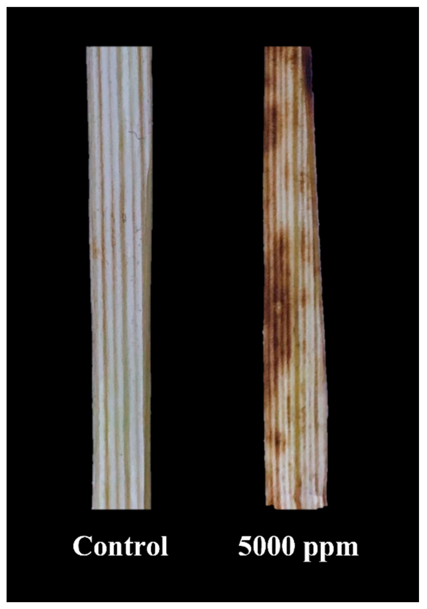 Agronomy 12 01954 g008