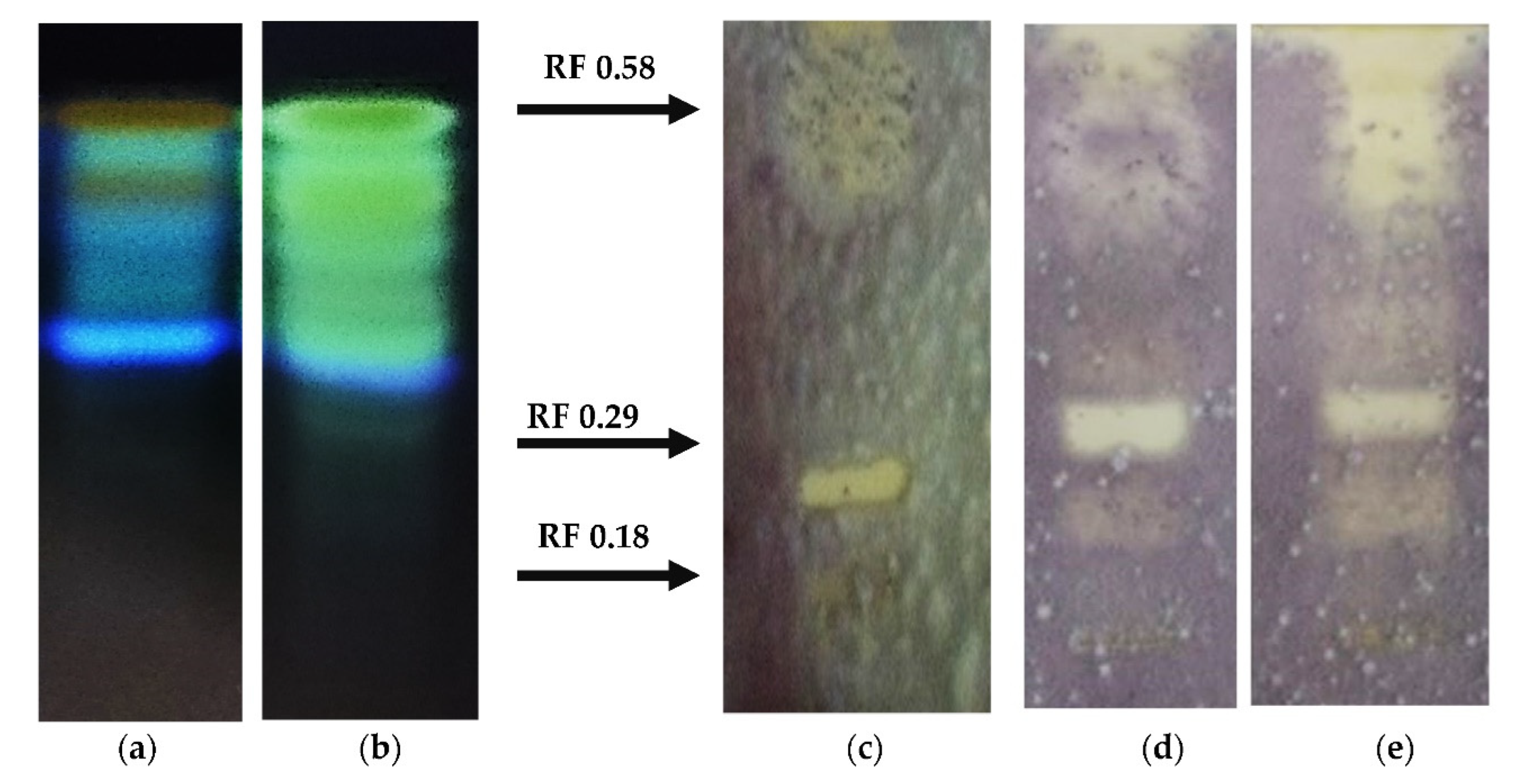 Agronomy 12 01956 g008