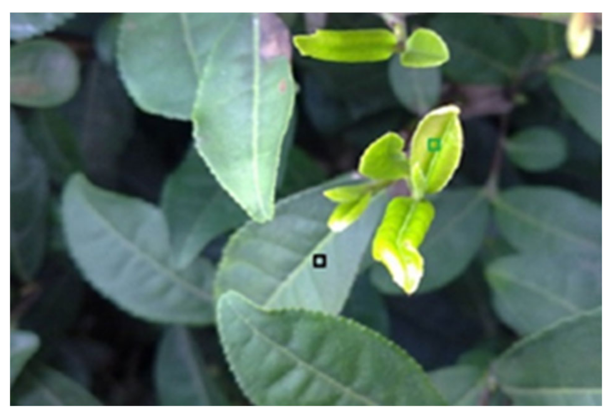 Agronomy 12 01958 g002