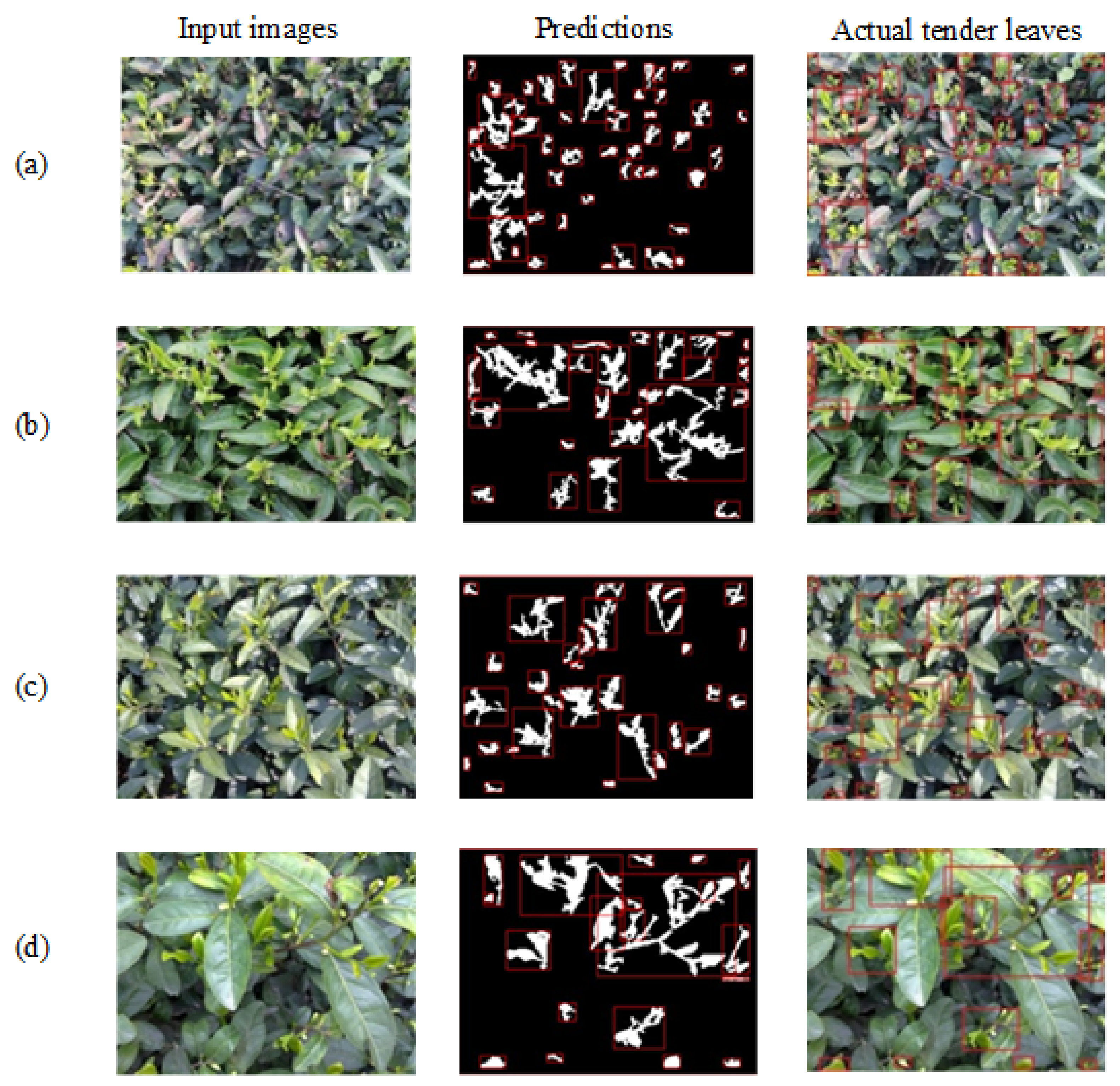 Agronomy 12 01958 g009