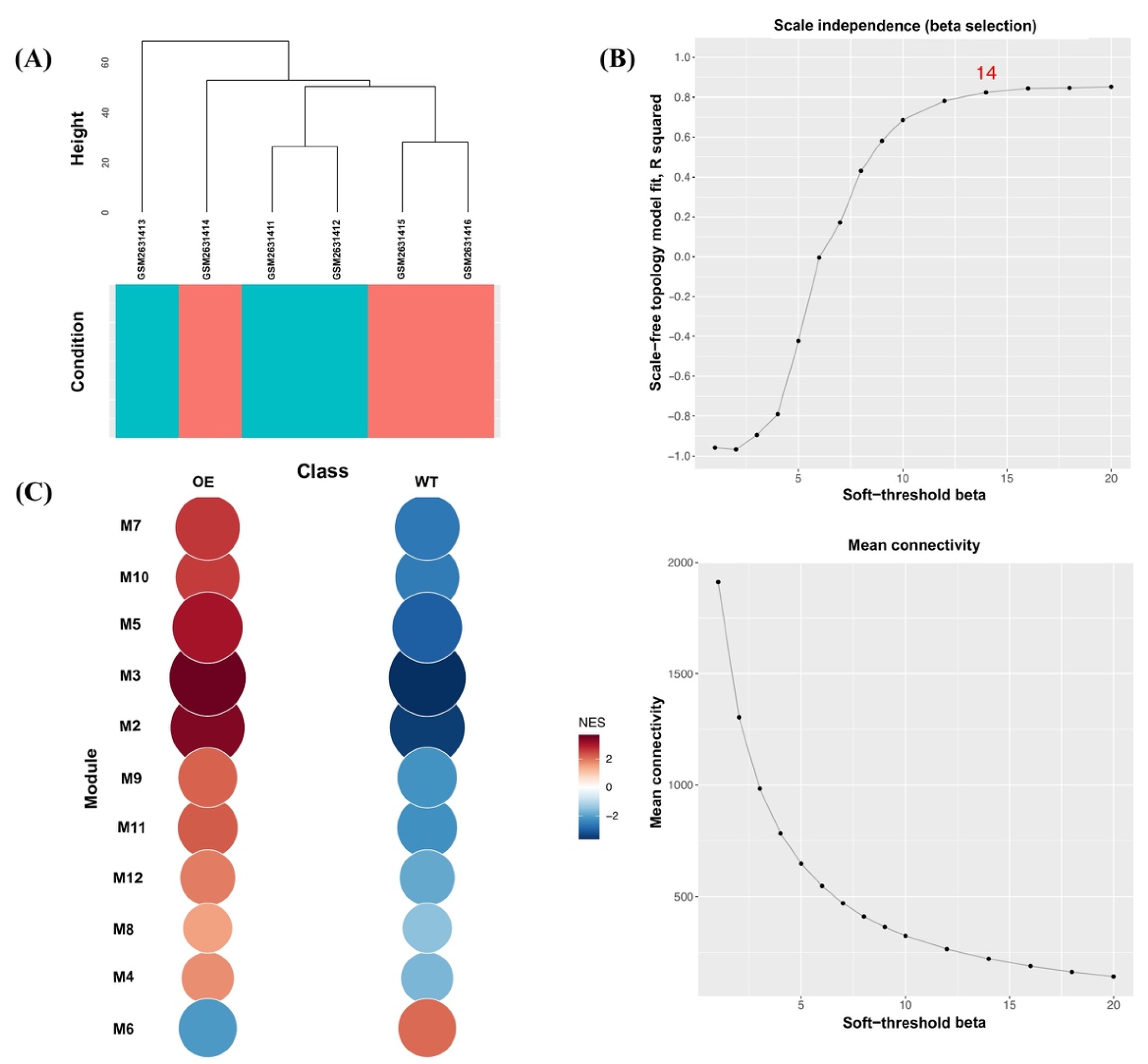 Agronomy 12 01959 g002