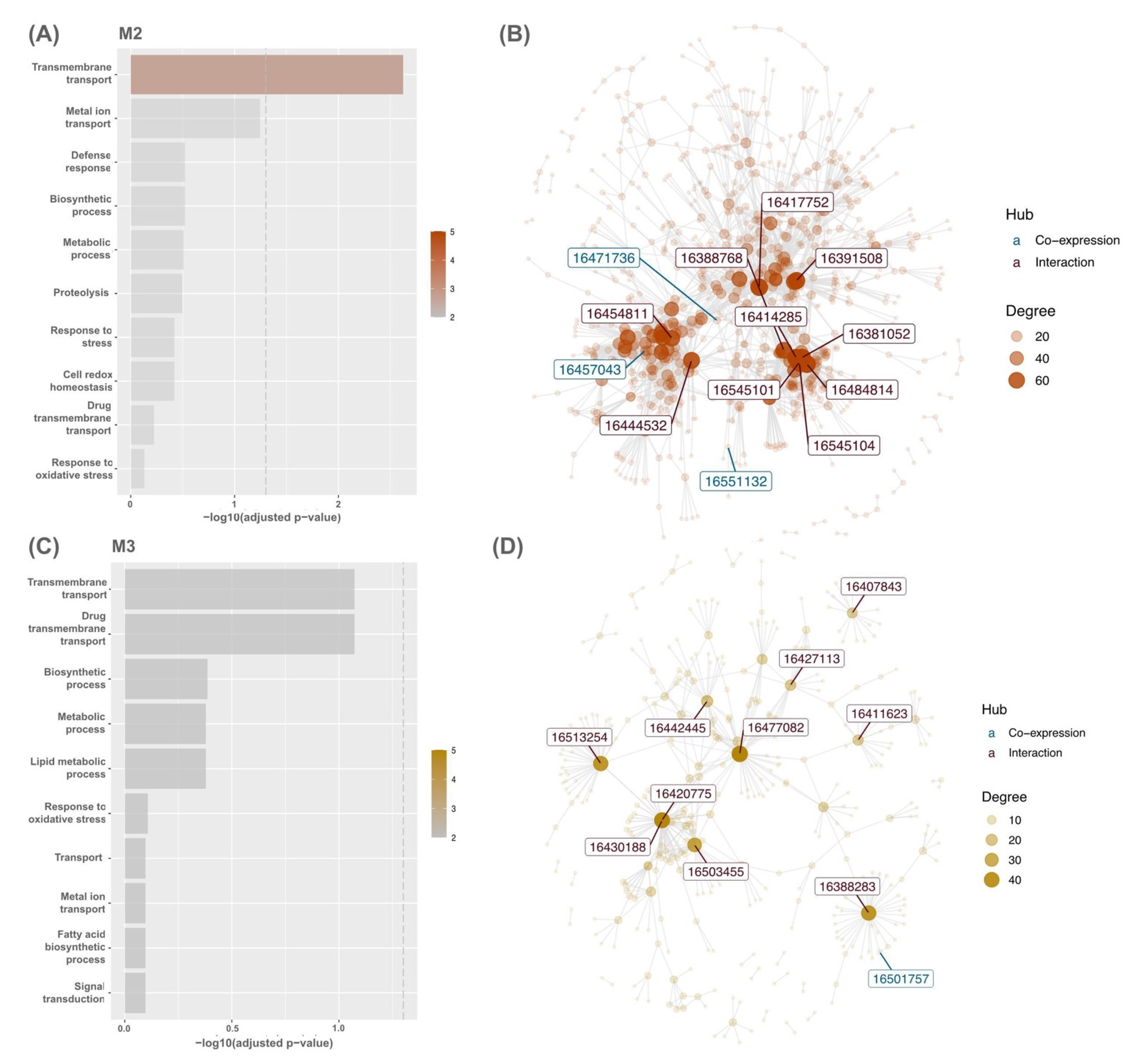 Agronomy 12 01959 g003