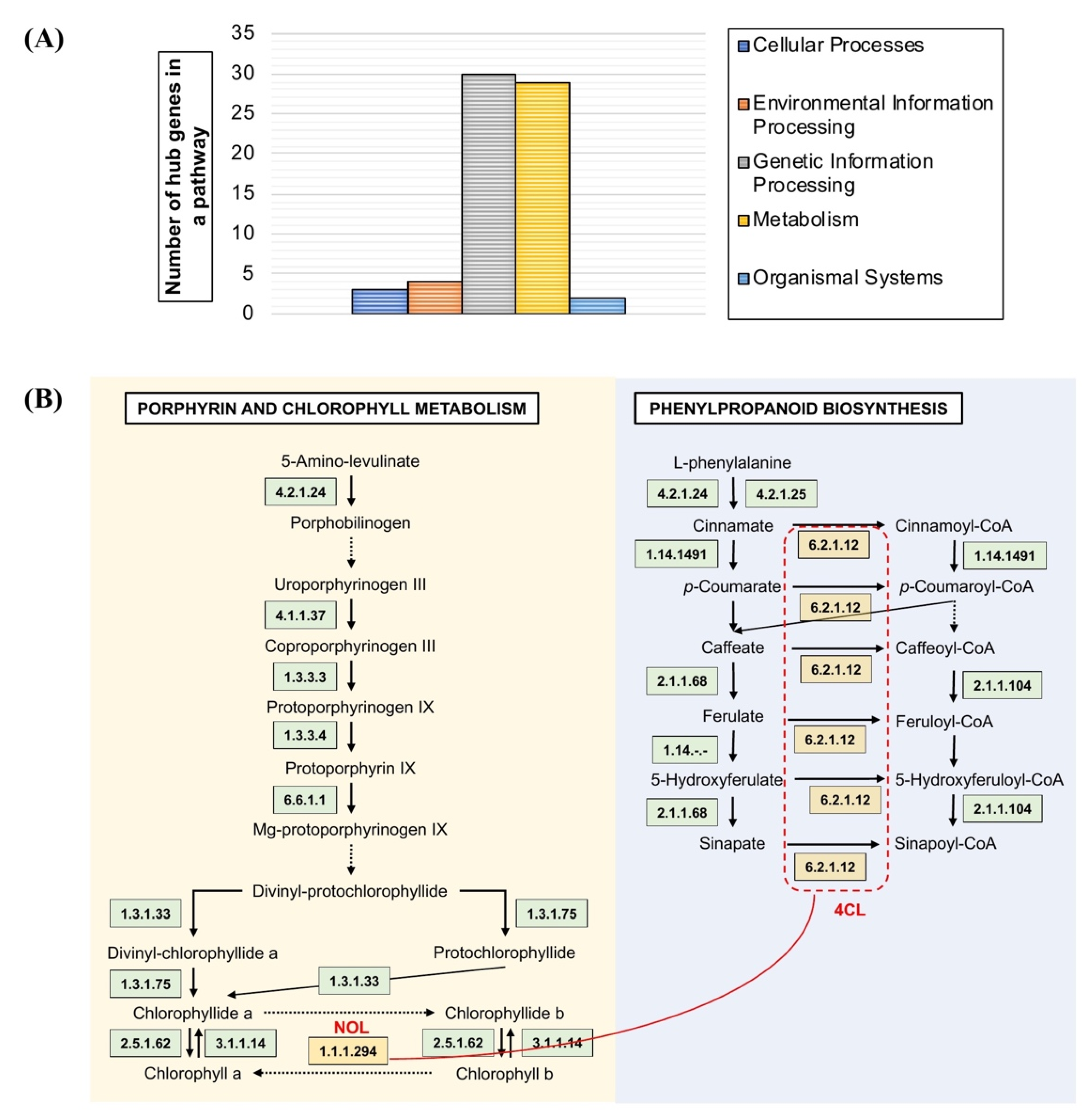 Agronomy 12 01959 g005
