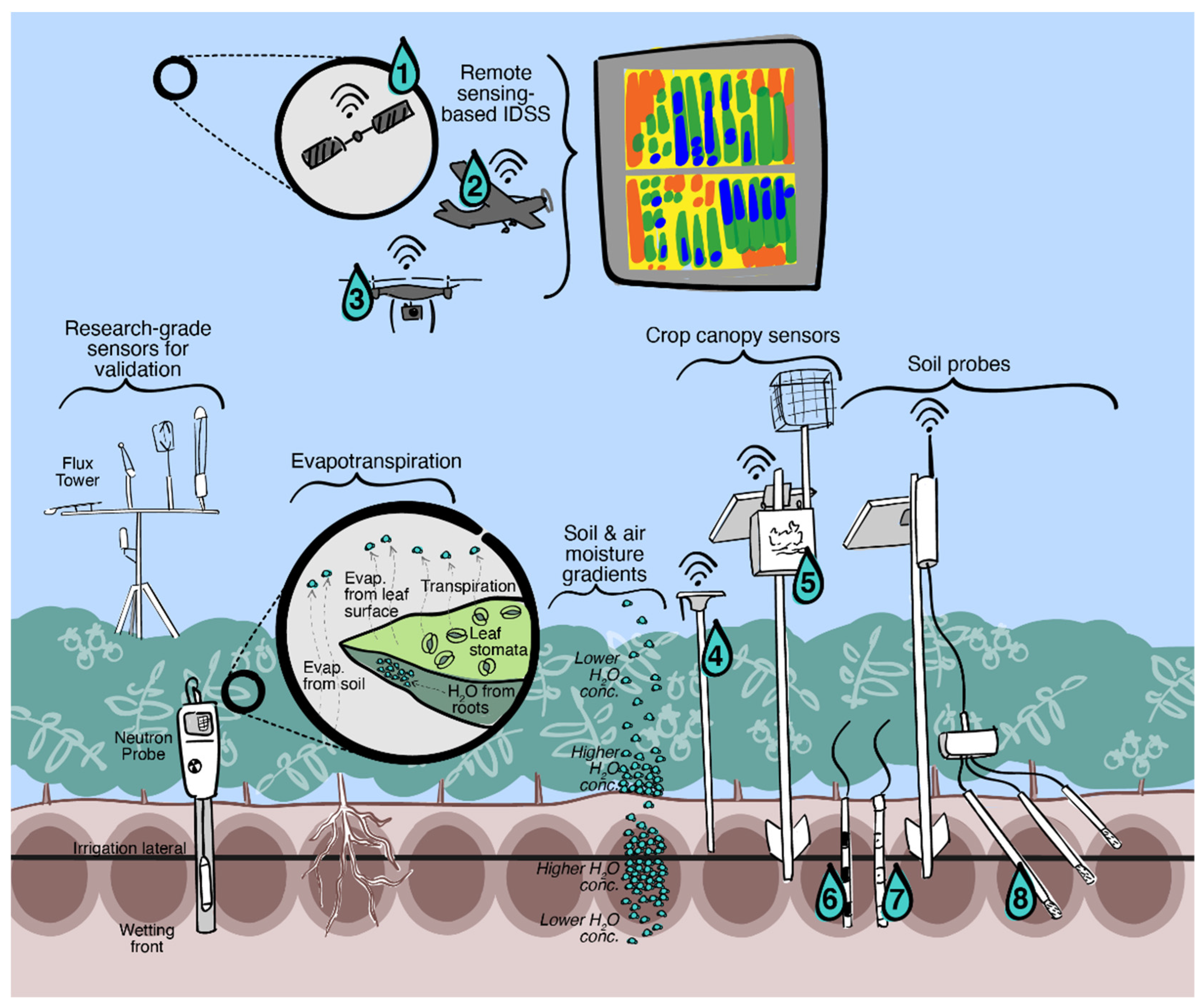 Agronomy 12 01962 g002