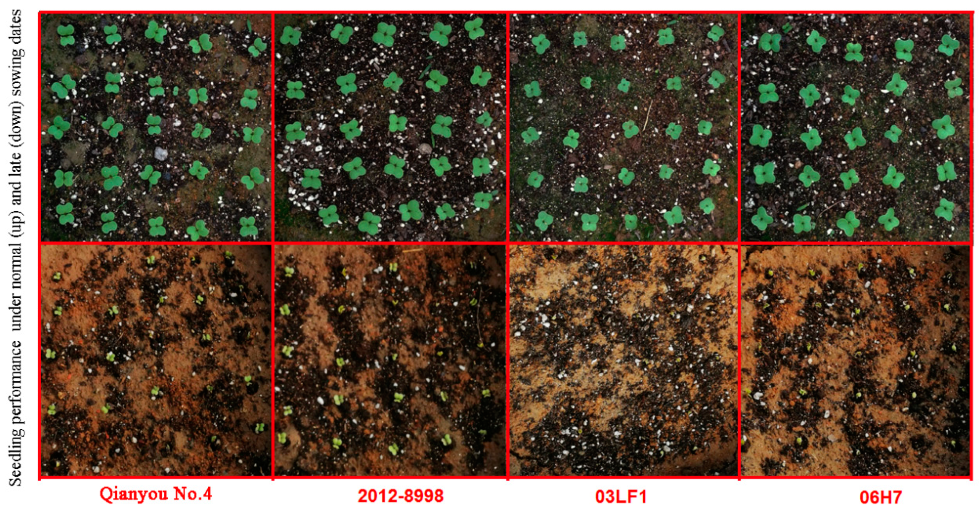 Agronomy 12 01969 g006