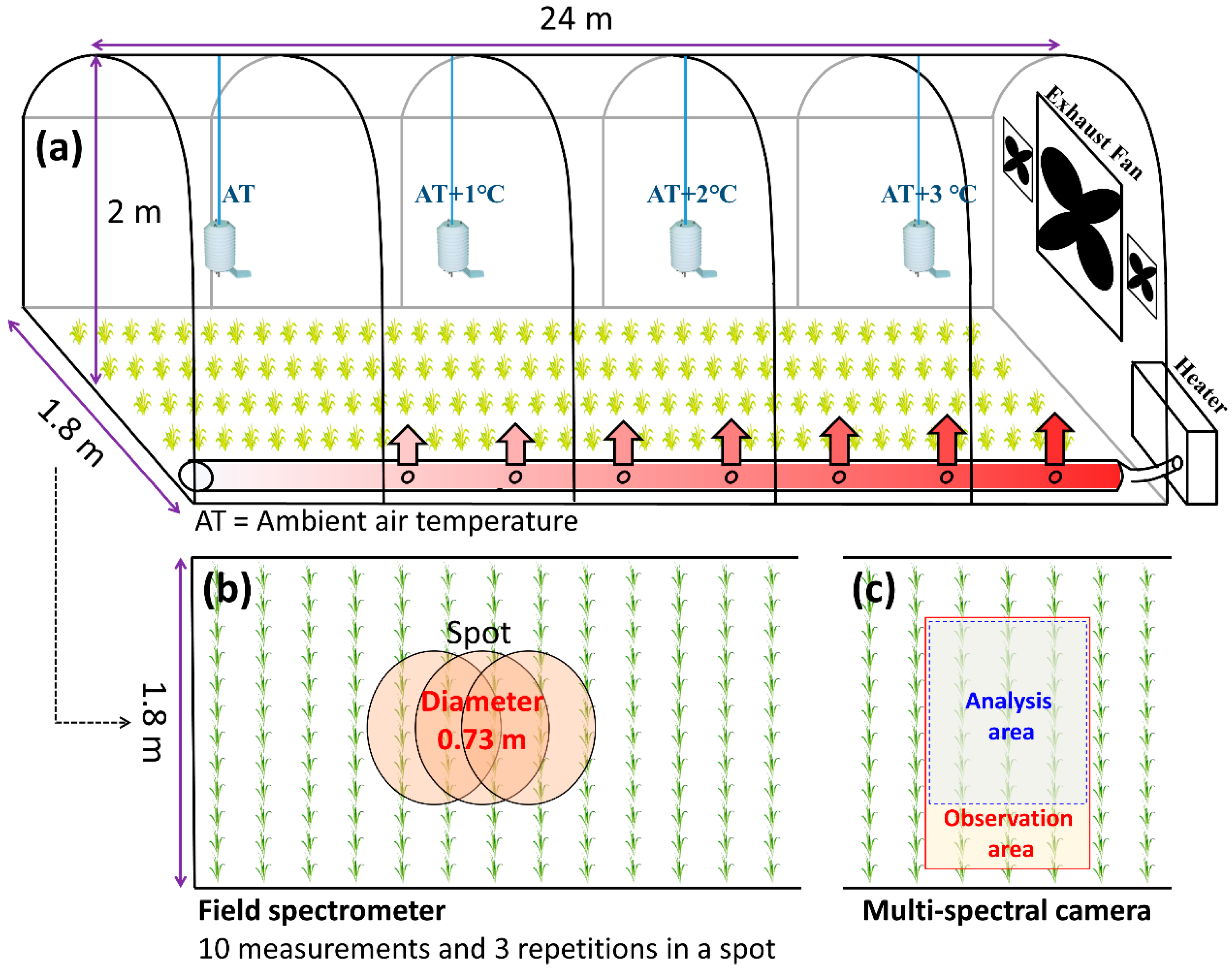 Agronomy 12 01972 g001