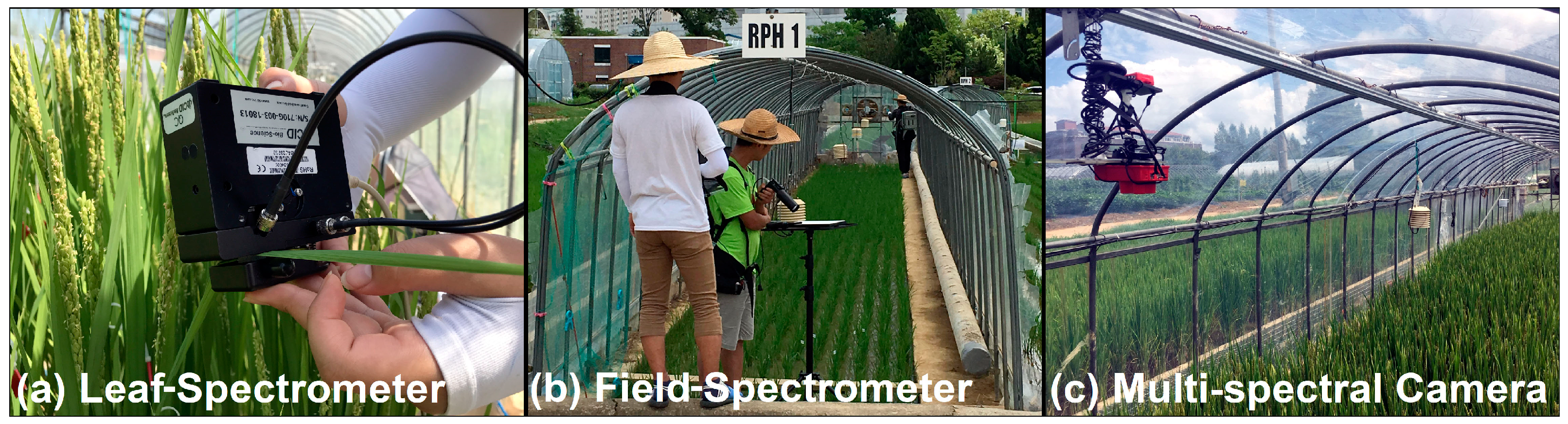 Agronomy 12 01972 g002