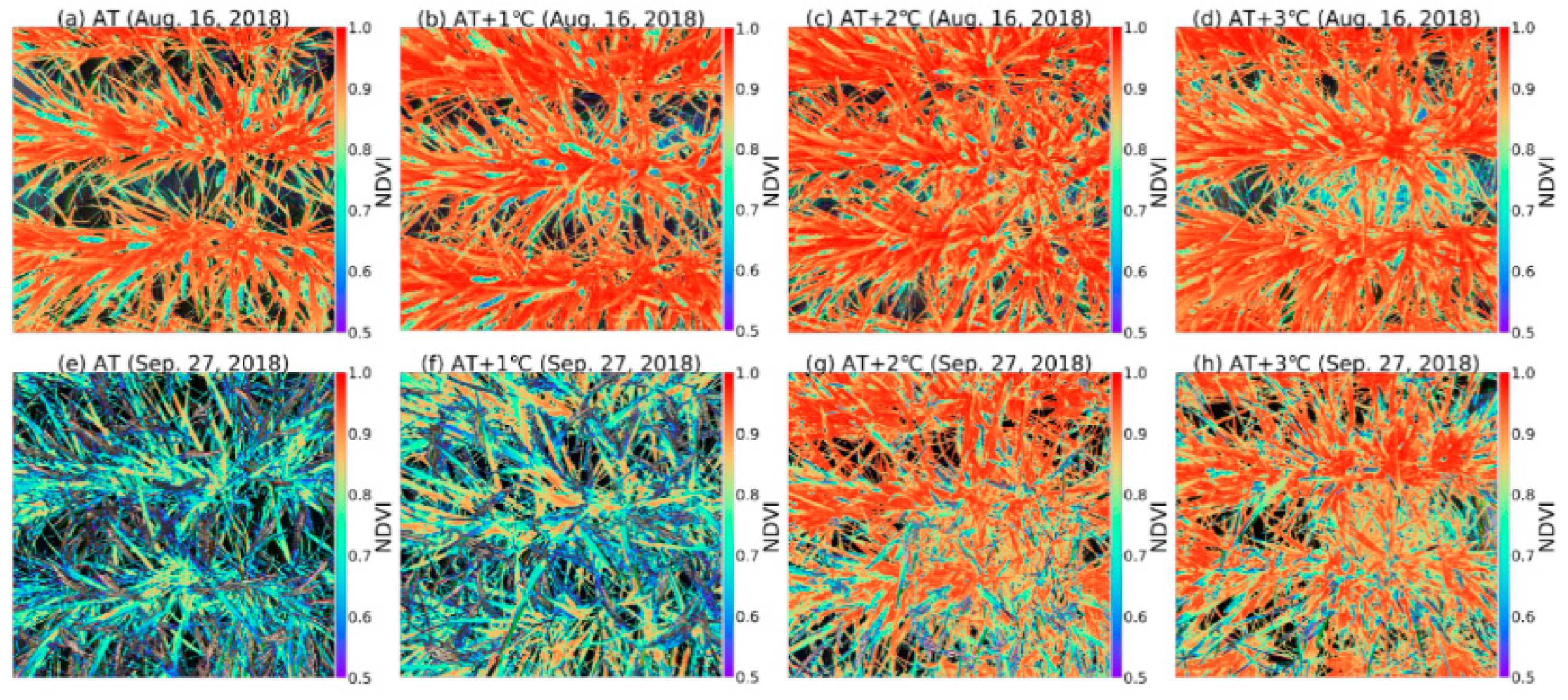 Agronomy 12 01972 g011