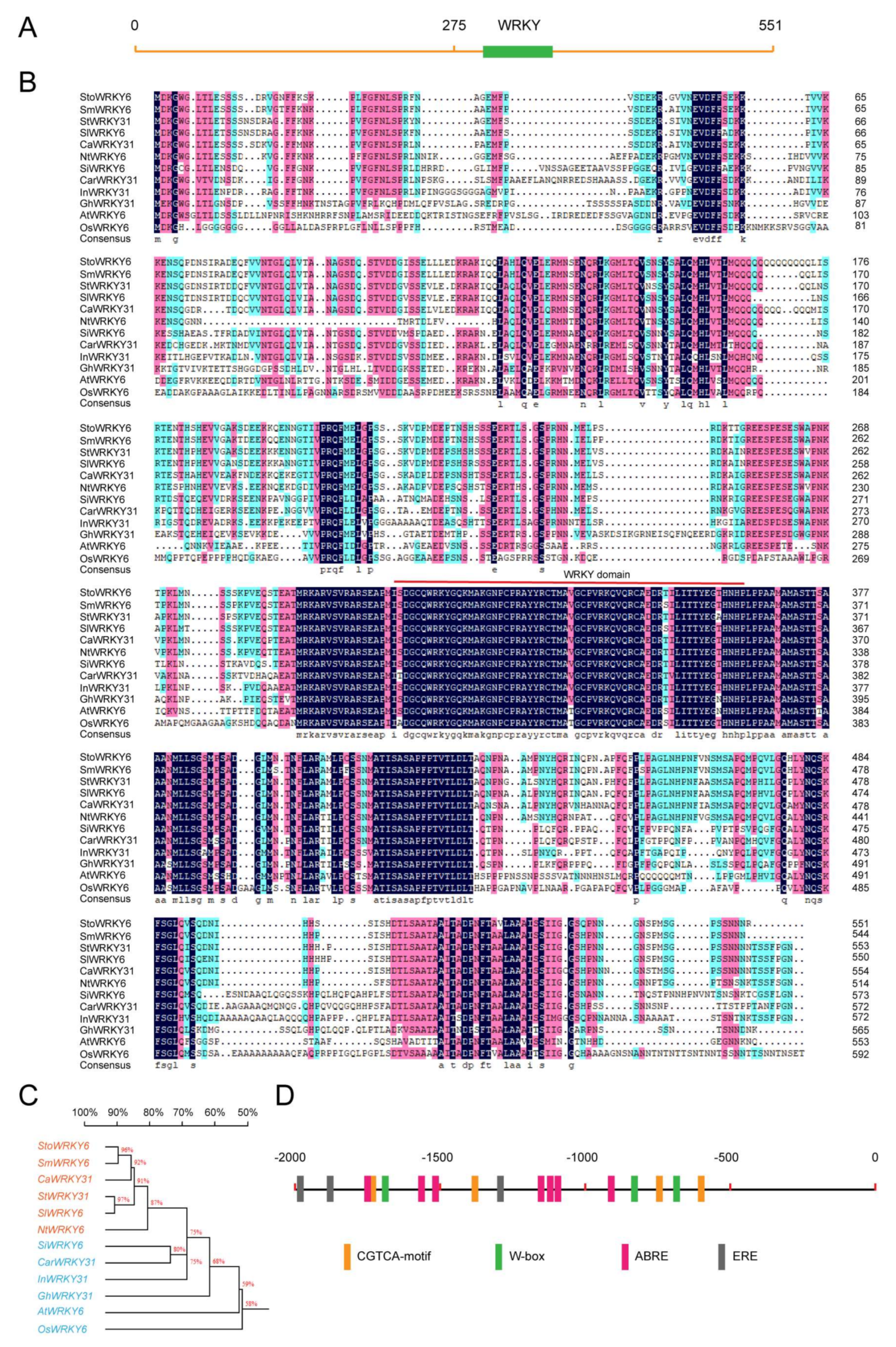 Agronomy 12 01977 g001