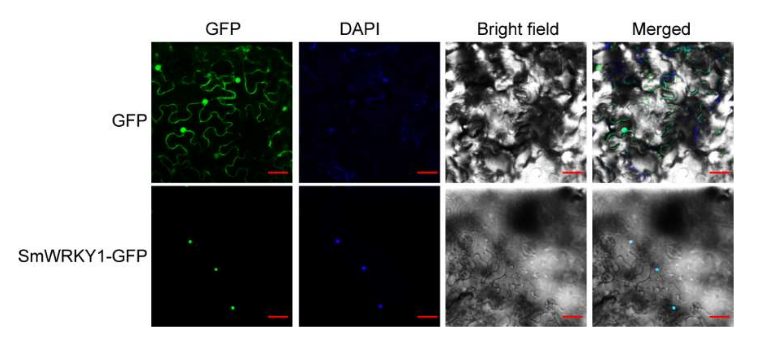 Agronomy 12 01977 g002