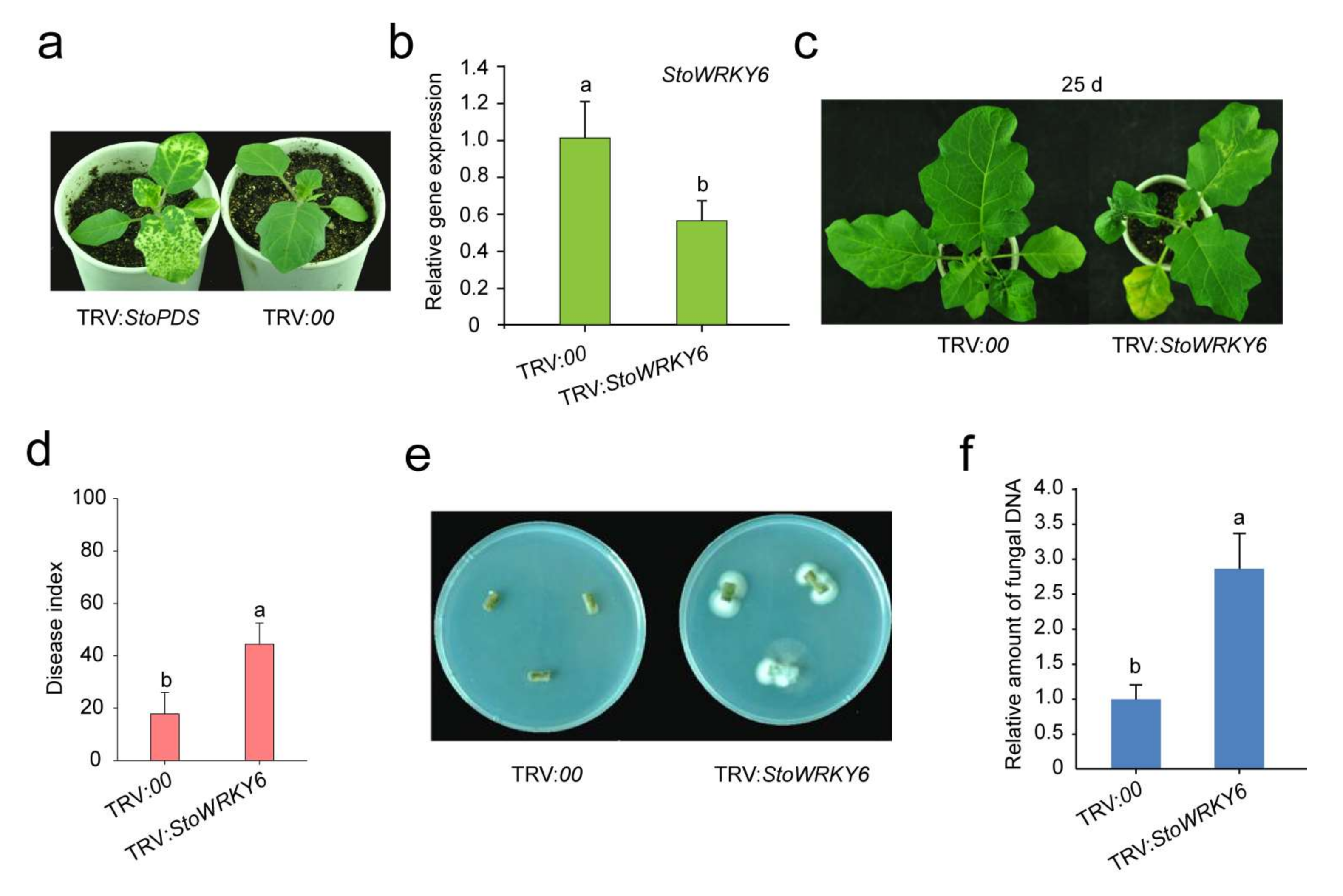 Agronomy 12 01977 g004