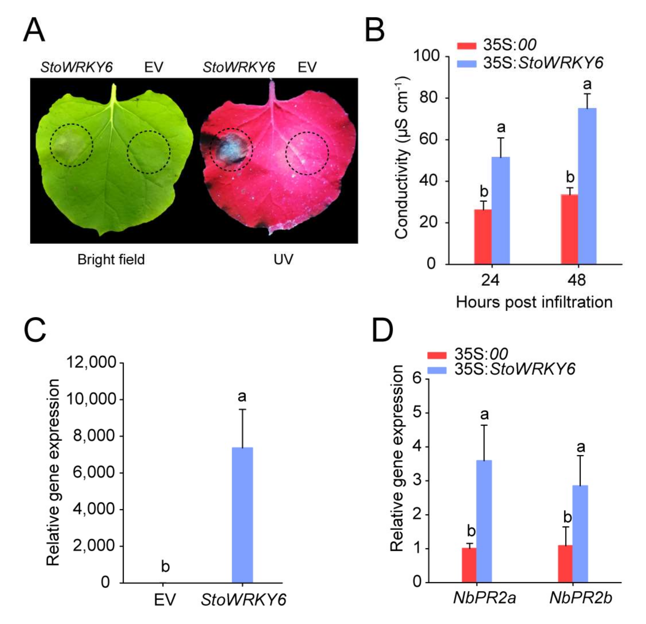 Agronomy 12 01977 g005