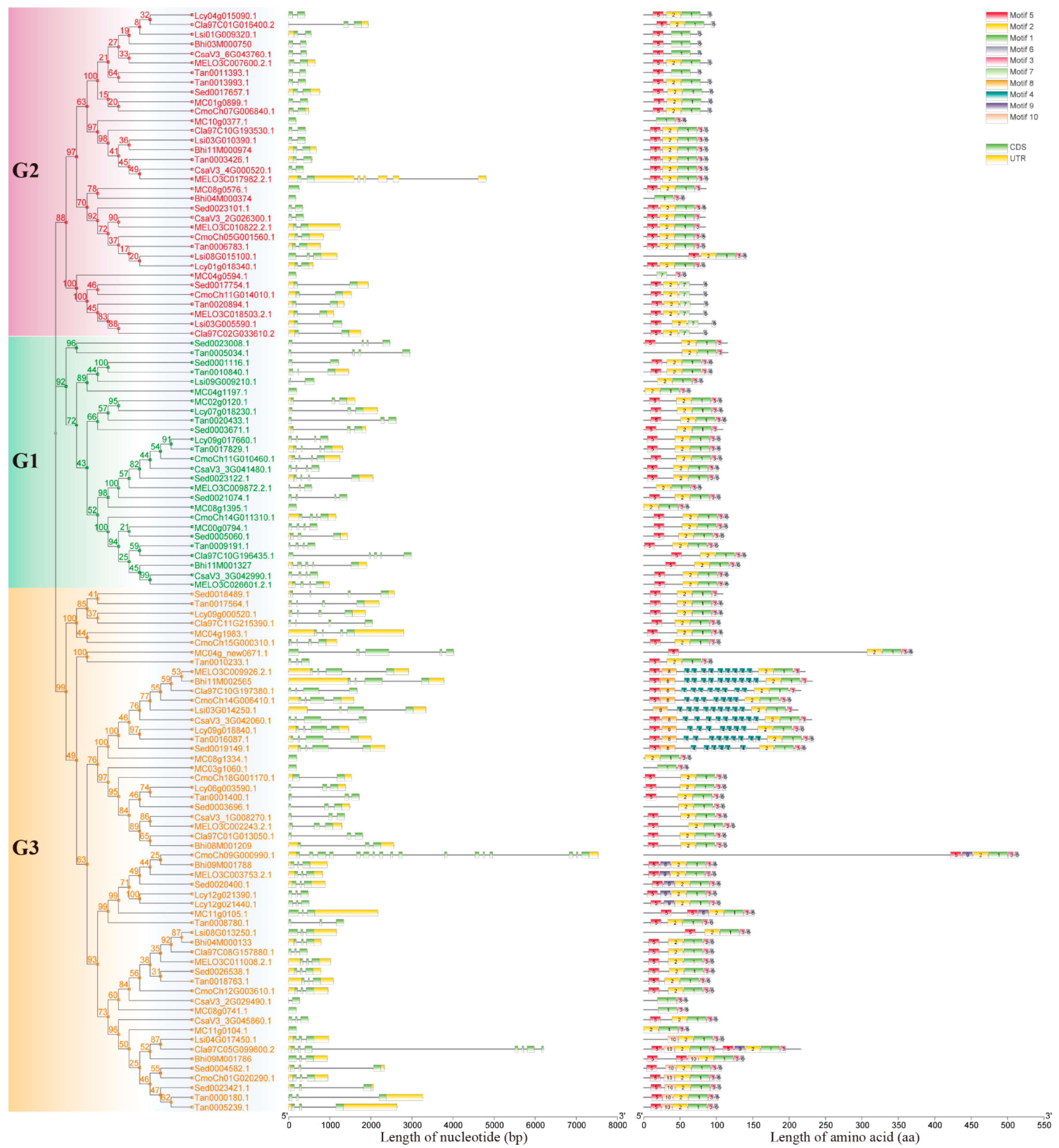 Agronomy 12 01978 g002
